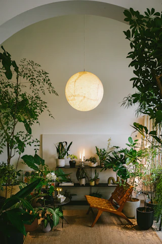 A cozy circle of women sharing stories in a warm, softly lit room surrounded by plants.