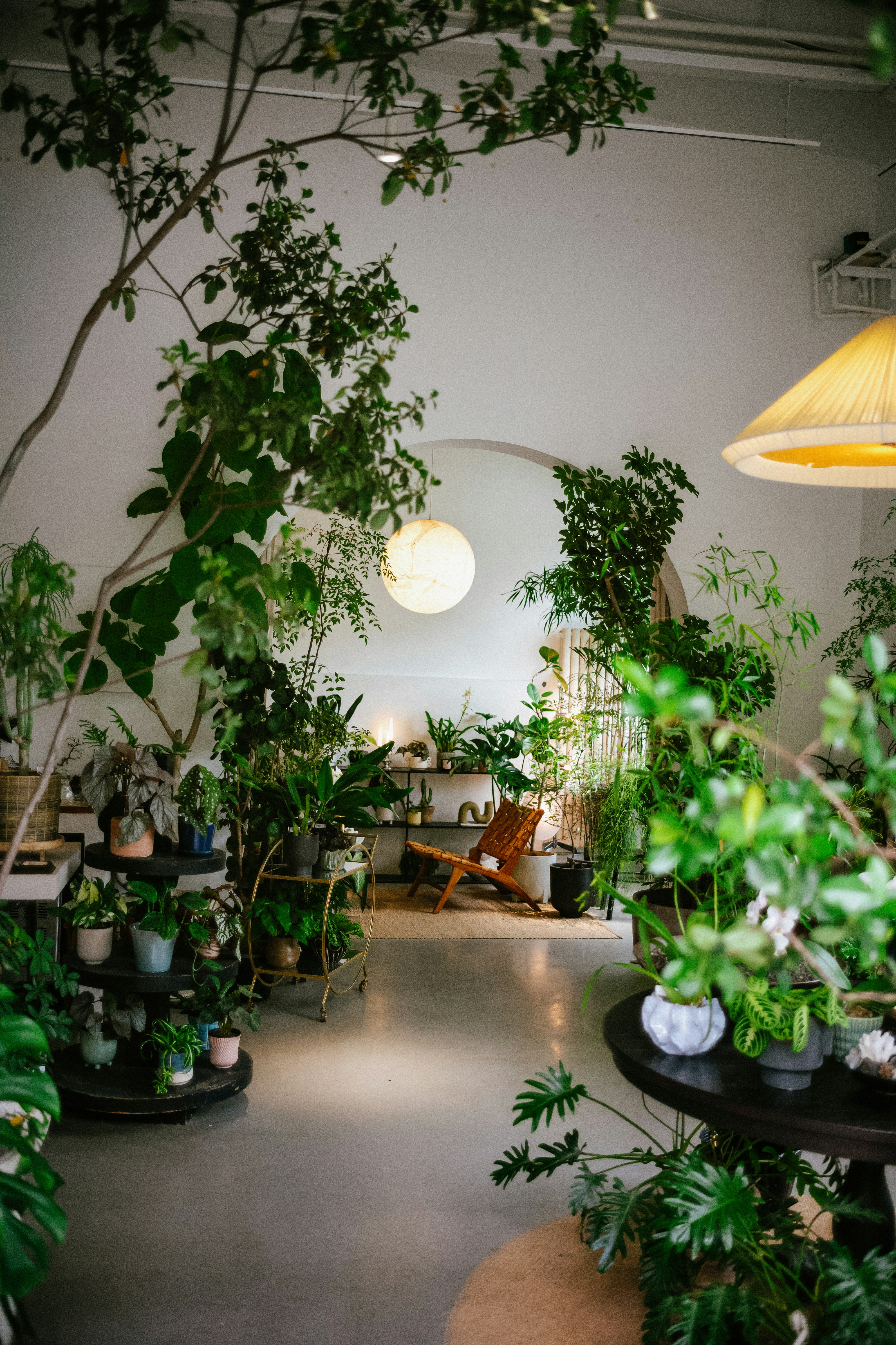 Photo by tommaomaoer