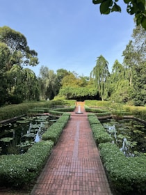 A serene backyard garden featuring elegant pathways and lush greenery.