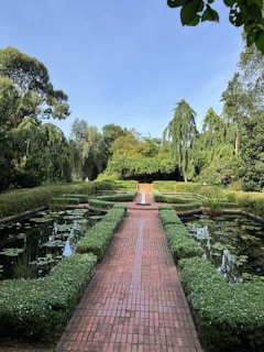 A serene backyard garden featuring elegant pathways and lush greenery.