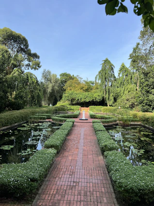 A serene garden design blending natural greenery with modern 3D visualization on a tablet.