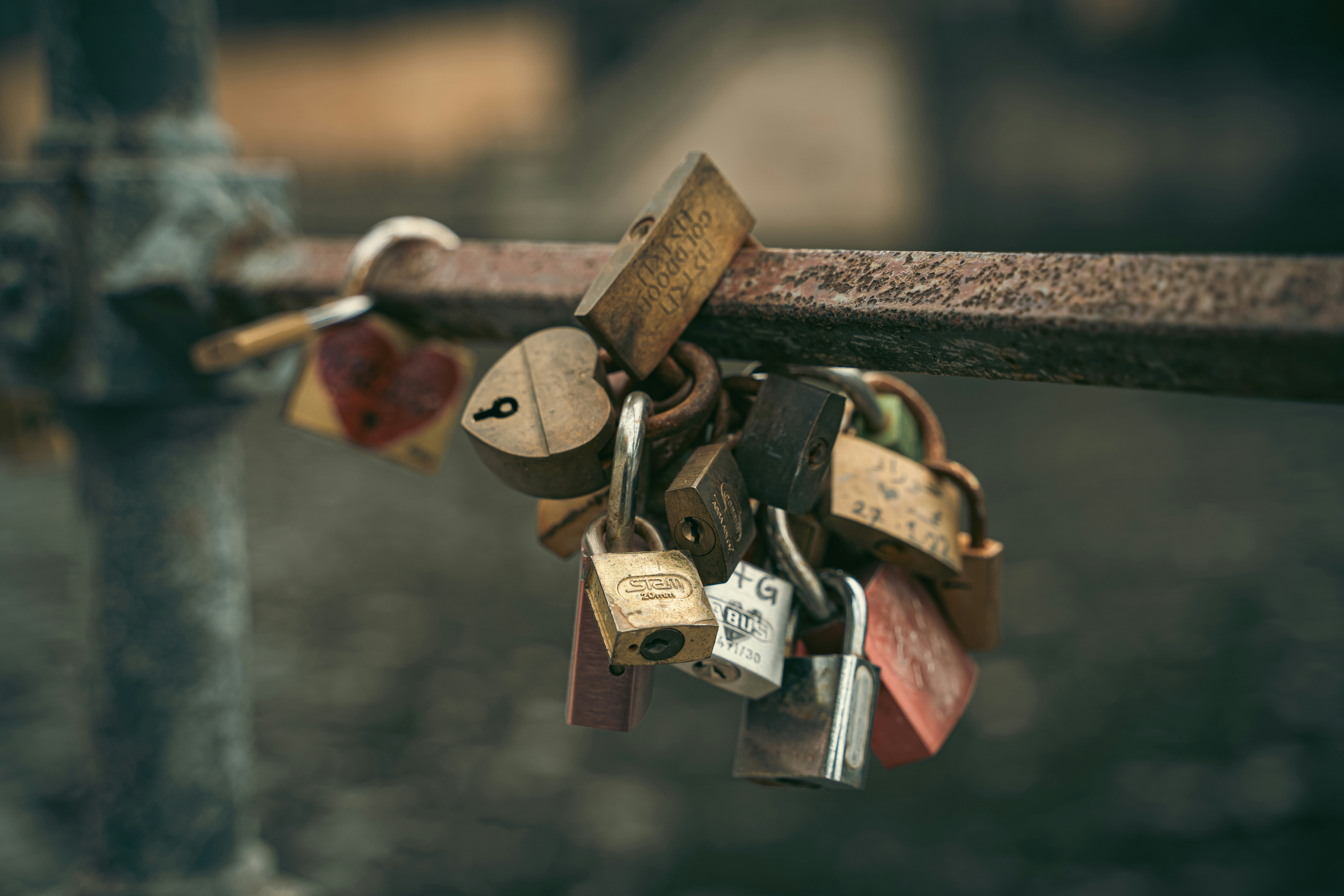 ein Bündel von Vorhängeschlössern, die an einem Metallzaun befestigt sind