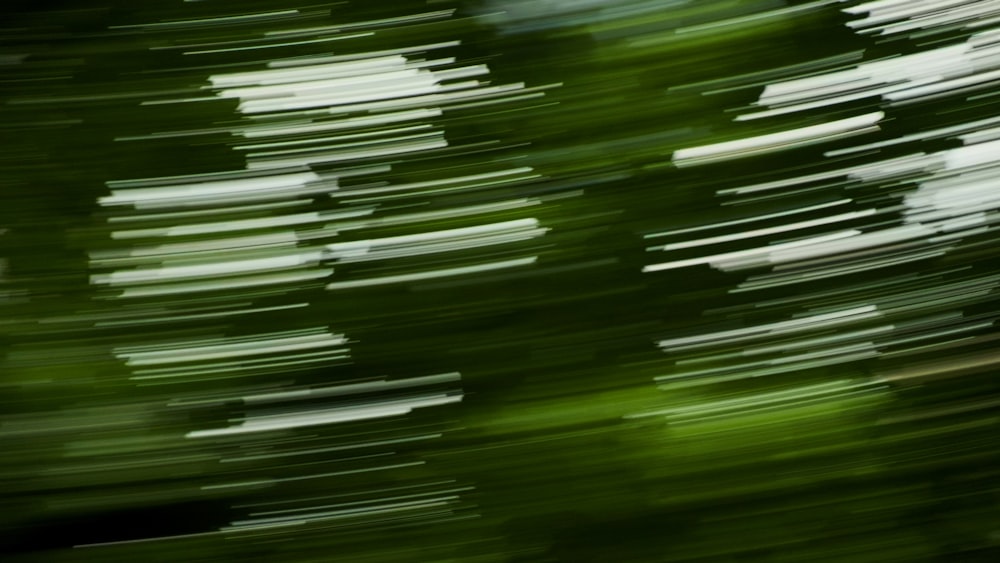 a blurry photo of a green tree
