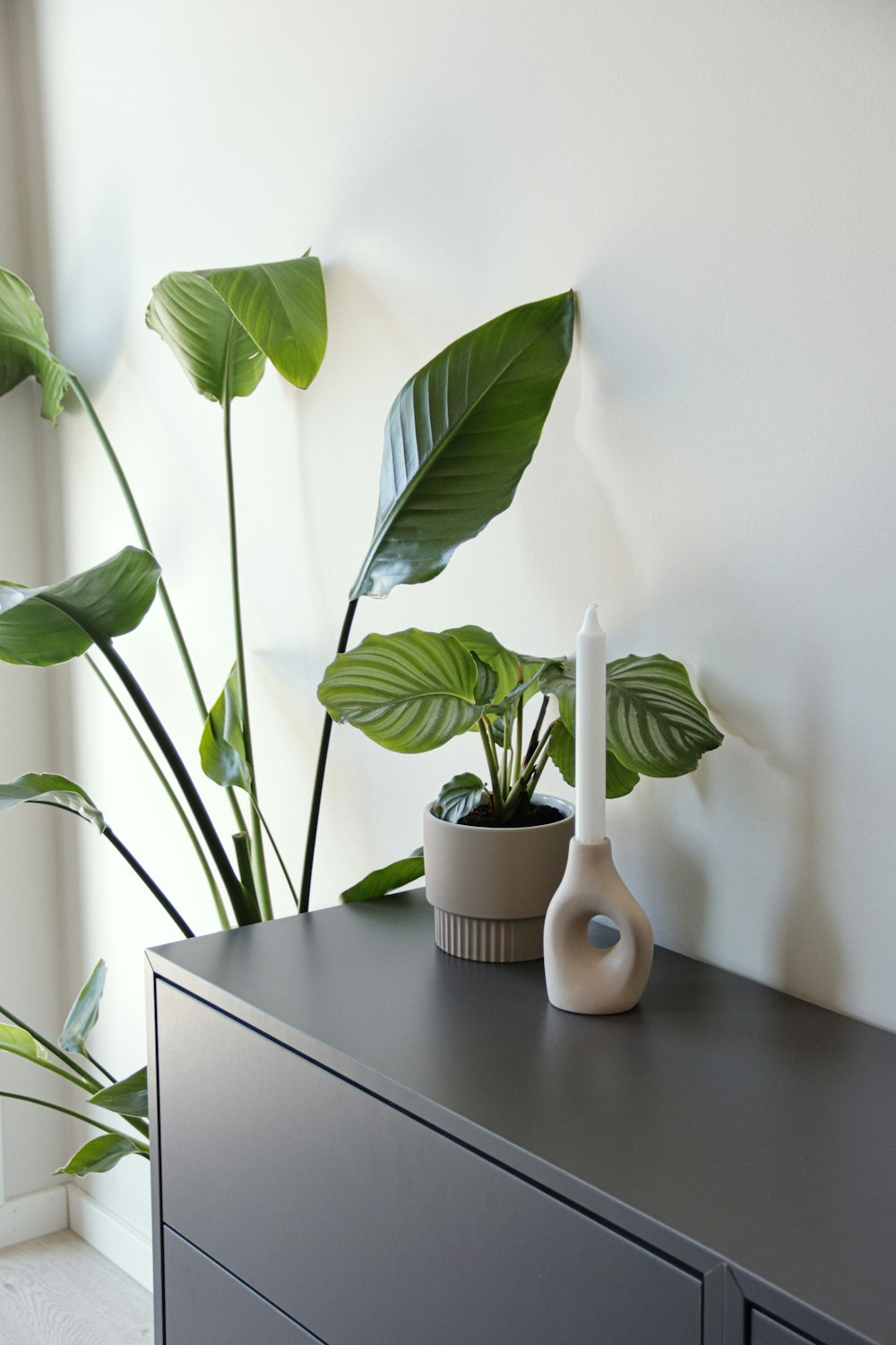 a plant is sitting on top of a dresser