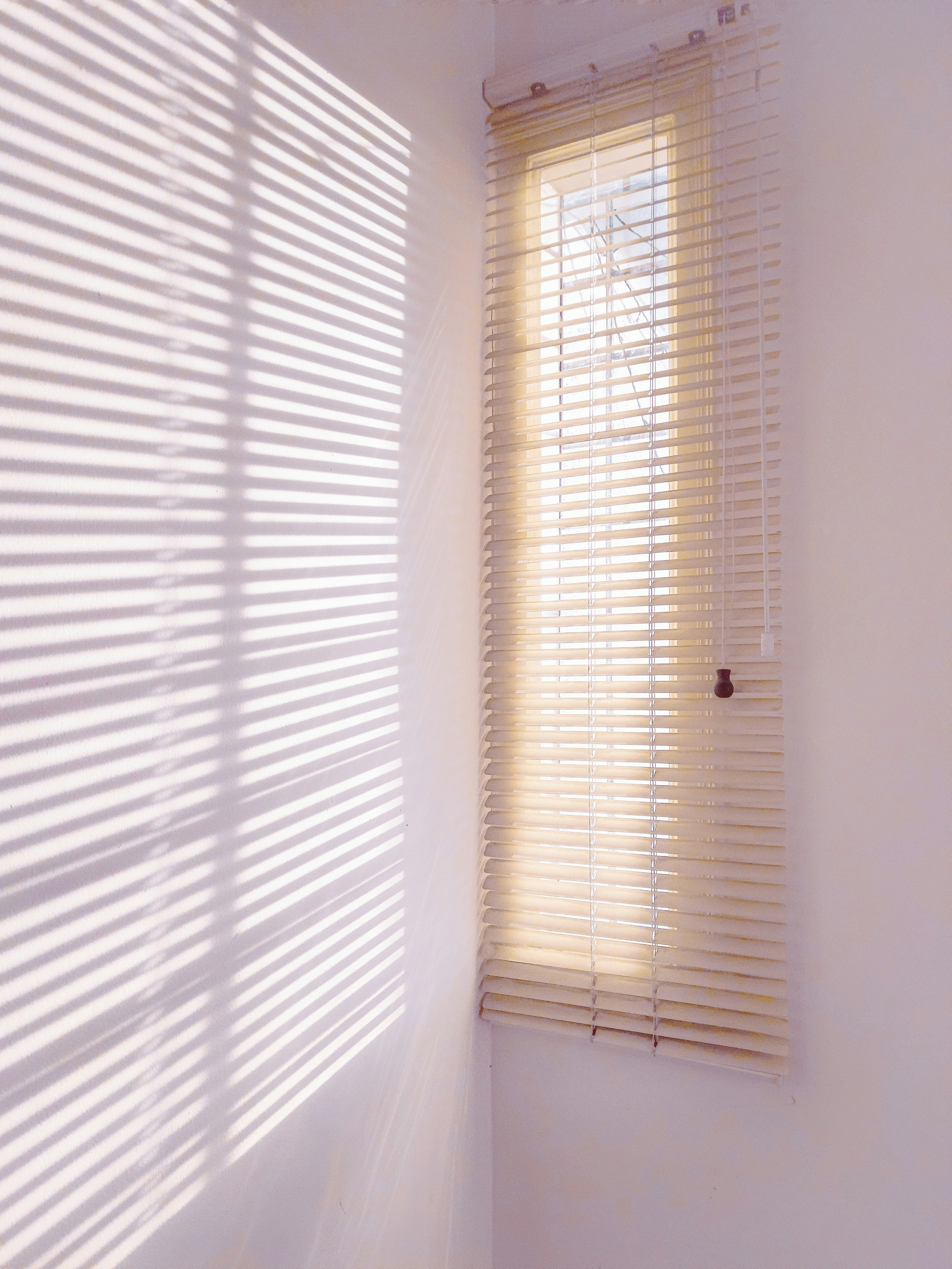 Elegant Roman Shades