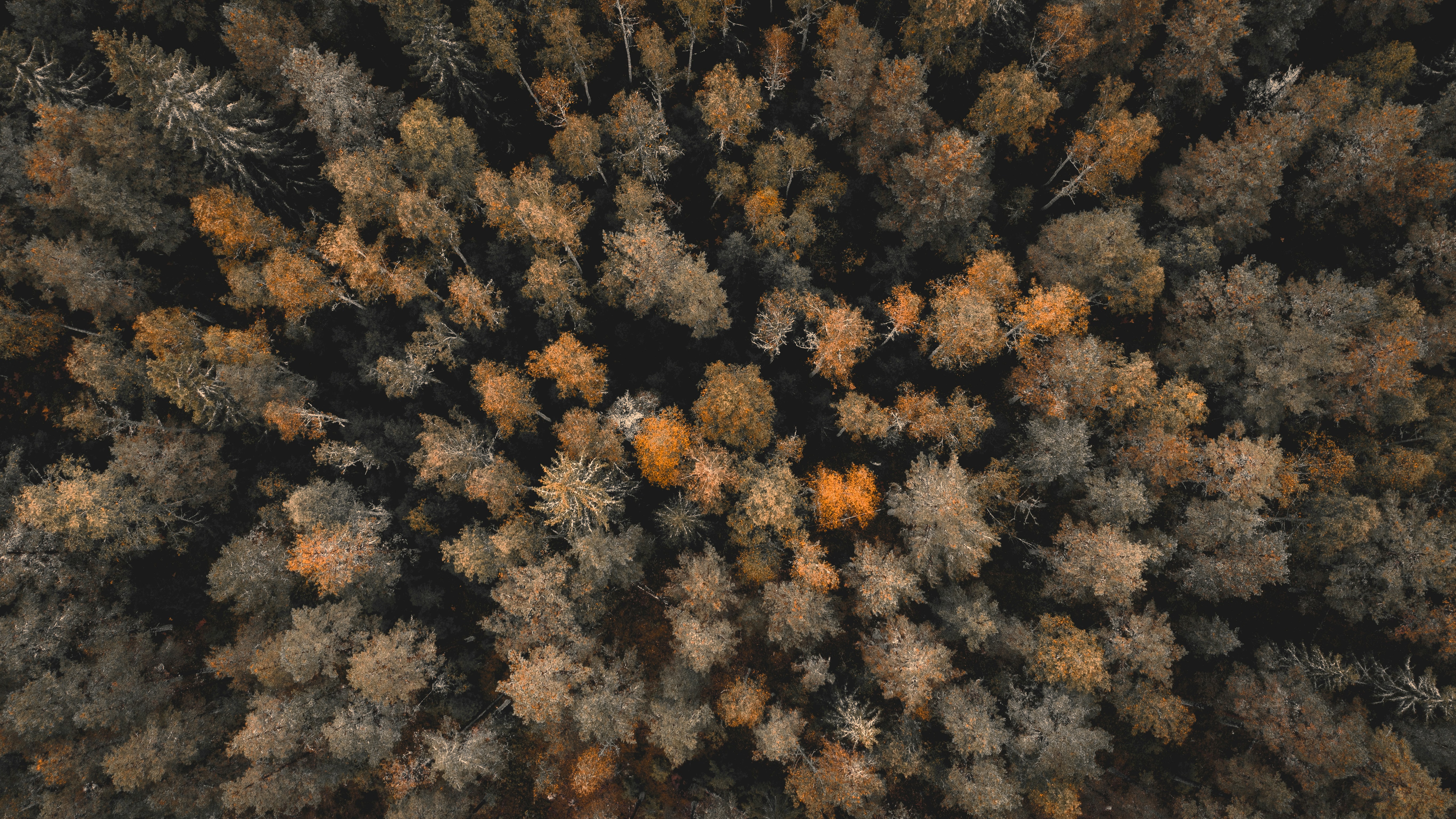 Photo by fotografbruno