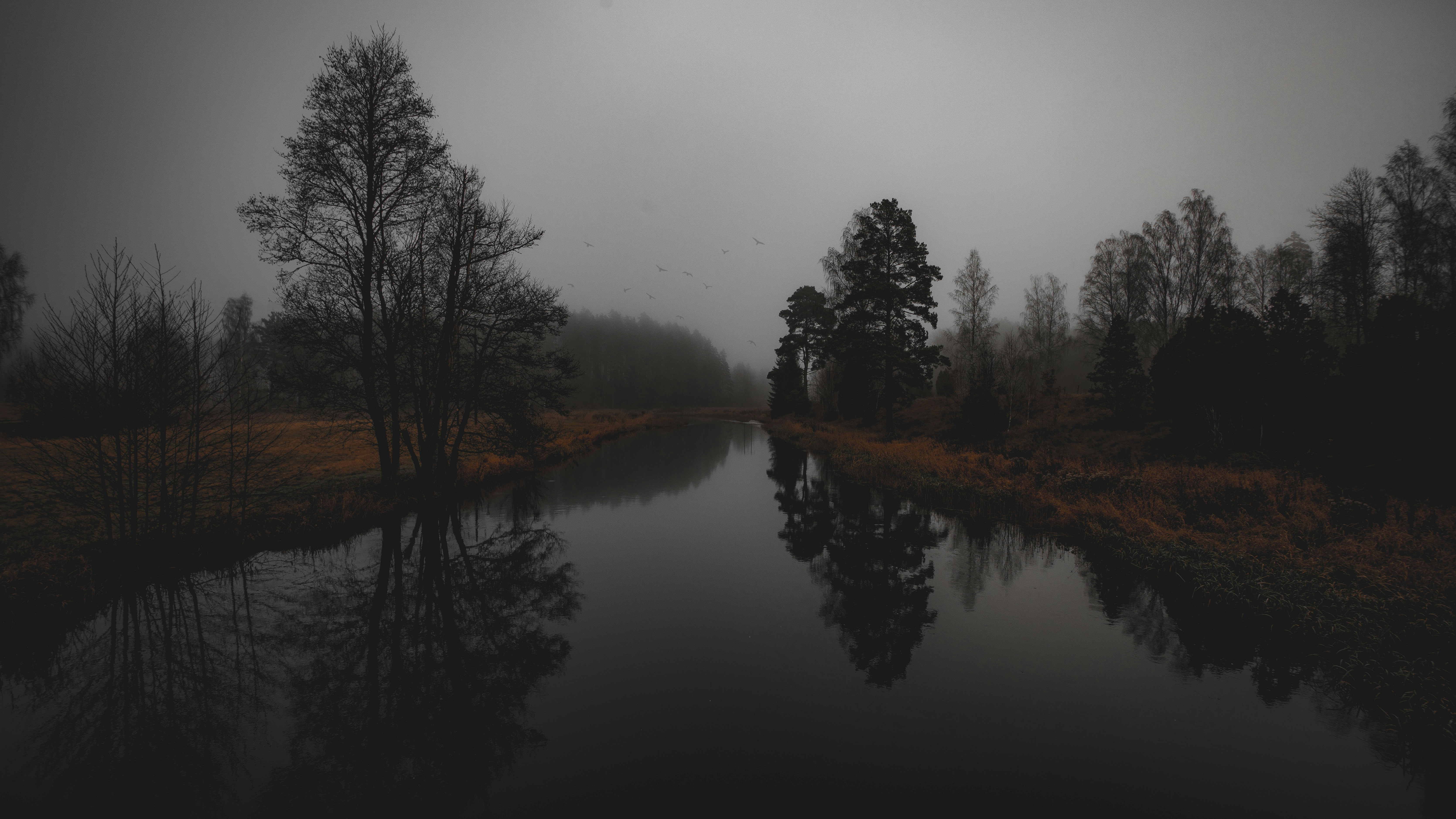 Photo by fotografbruno