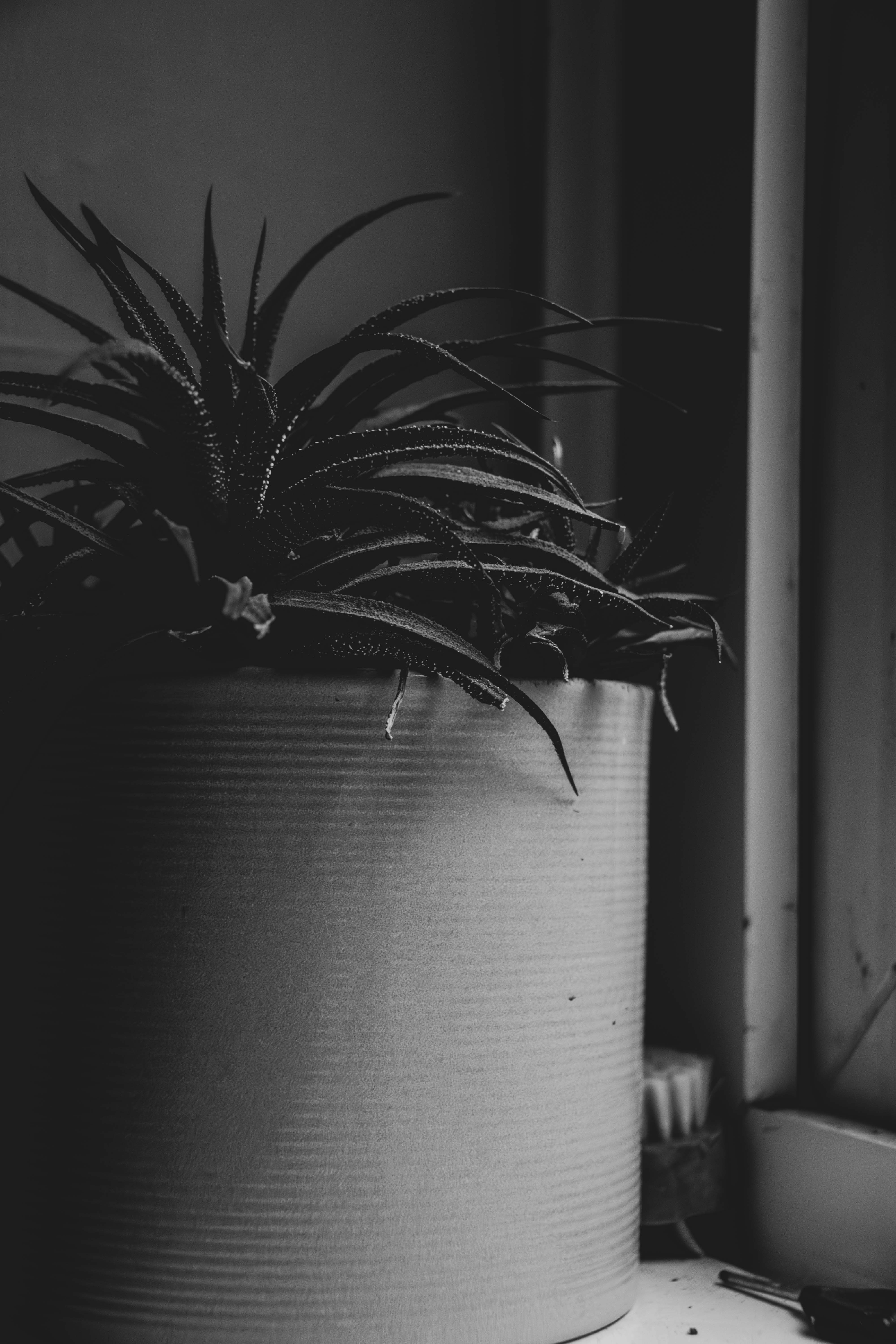 Photo by tobyjay2010