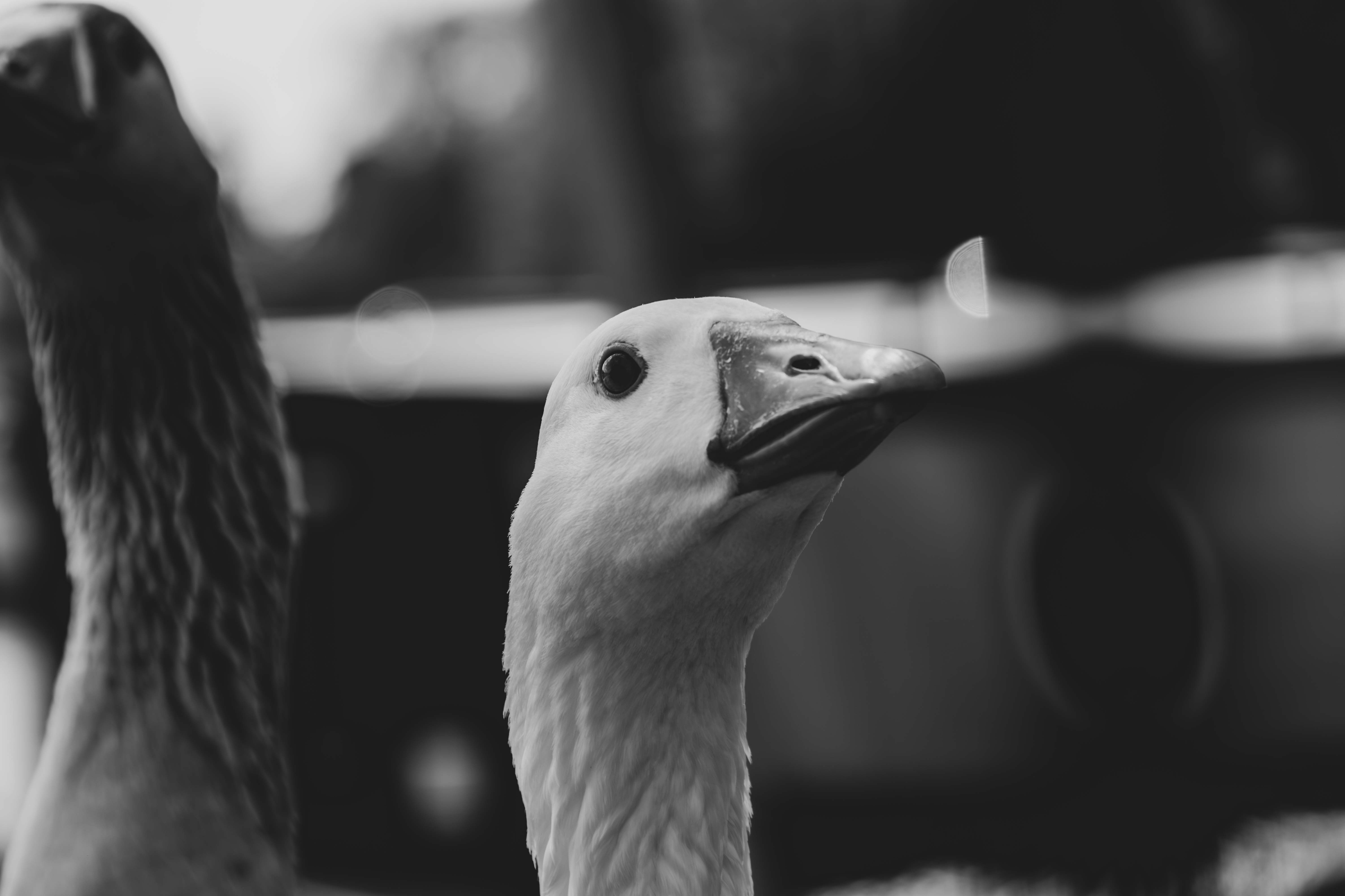 Photo by tobyjay2010