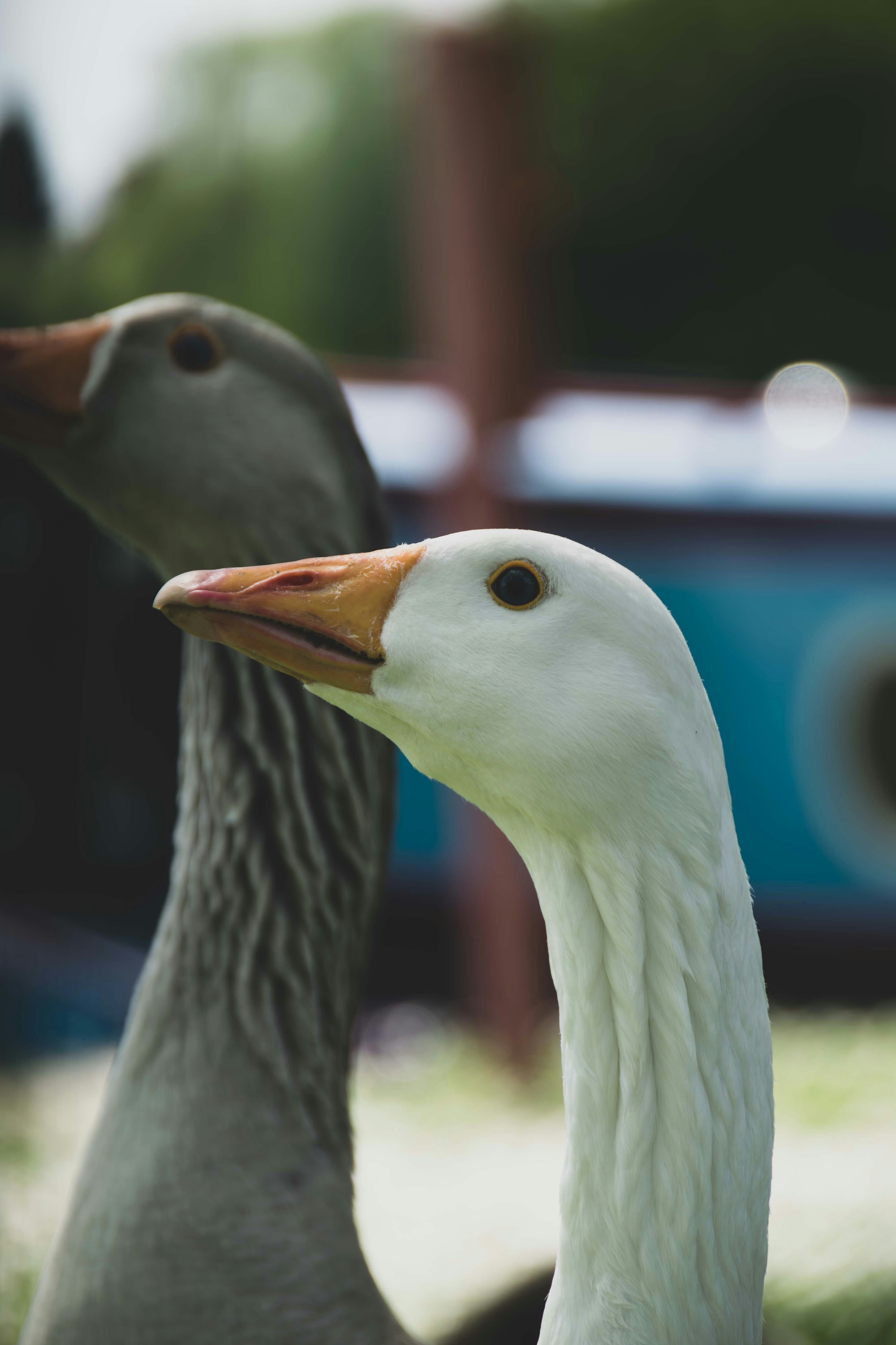 Photo by tobyjay2010