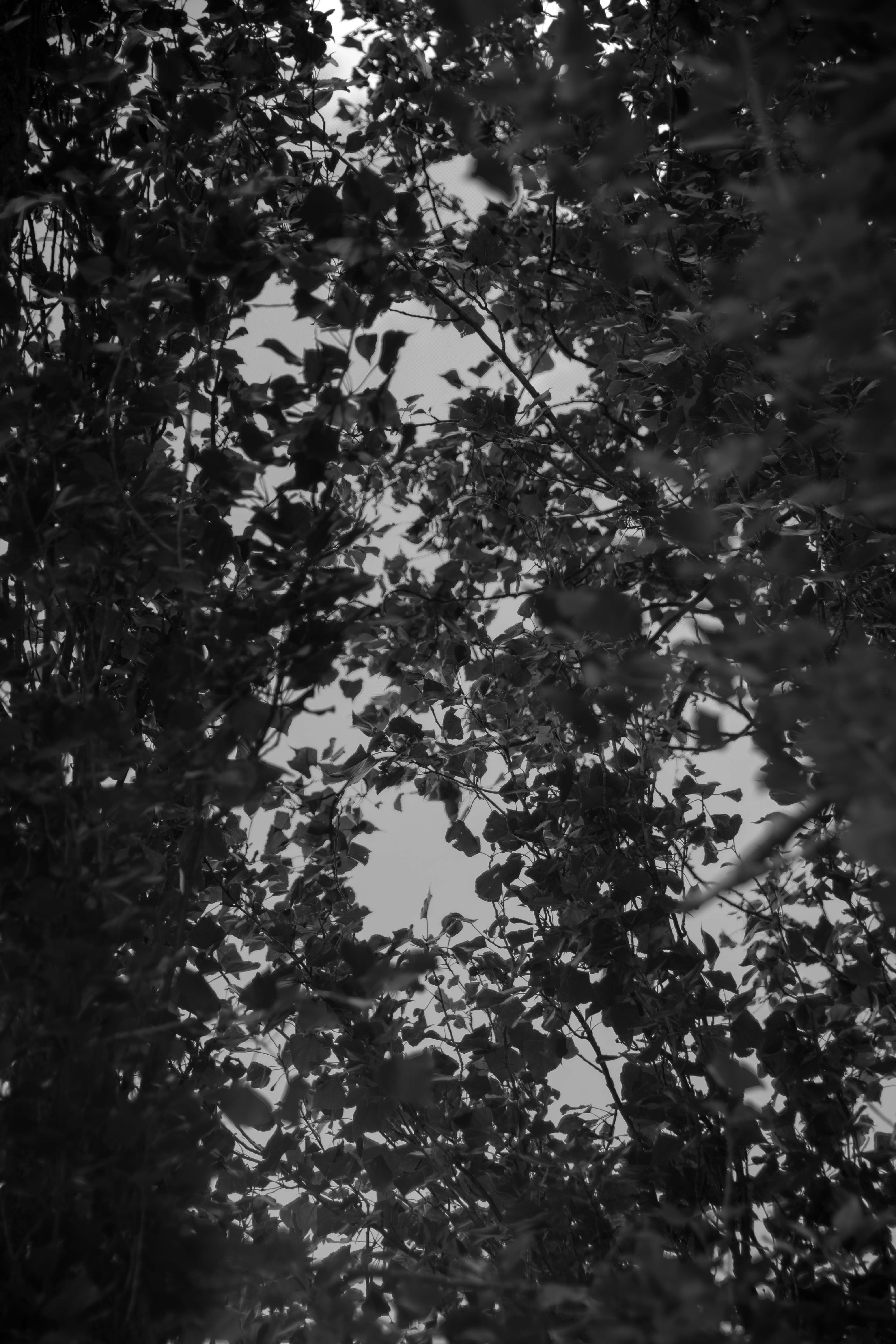 Photo by tobyjay2010