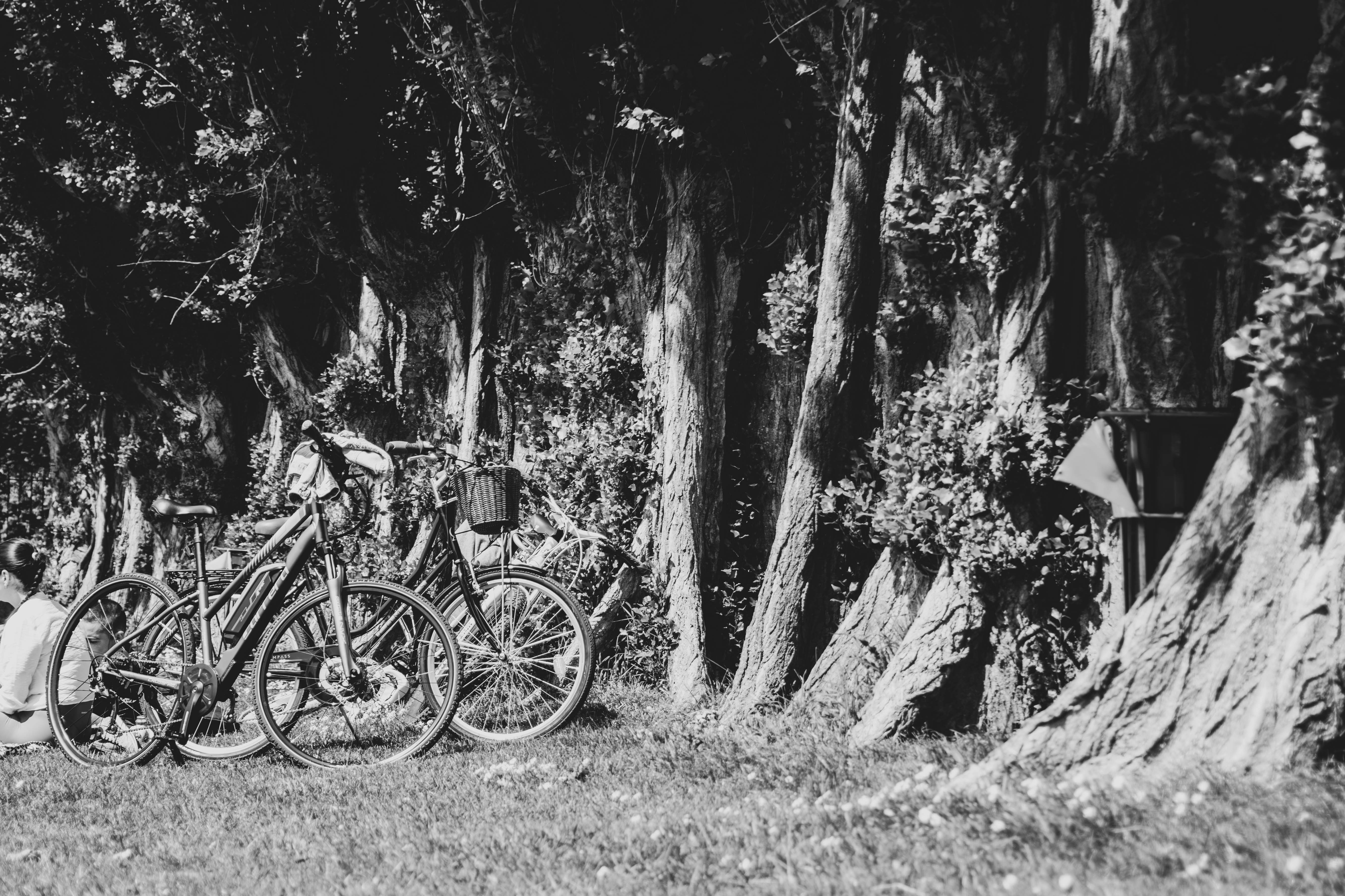 Photo by tobyjay2010