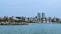A coastal cityscape featuring a row of modern high-rise buildings and apartment blocks along the shoreline. In the foreground, a body of water gently meets a rocky shore lined with small trees and people, suggesting a mild urban environment.