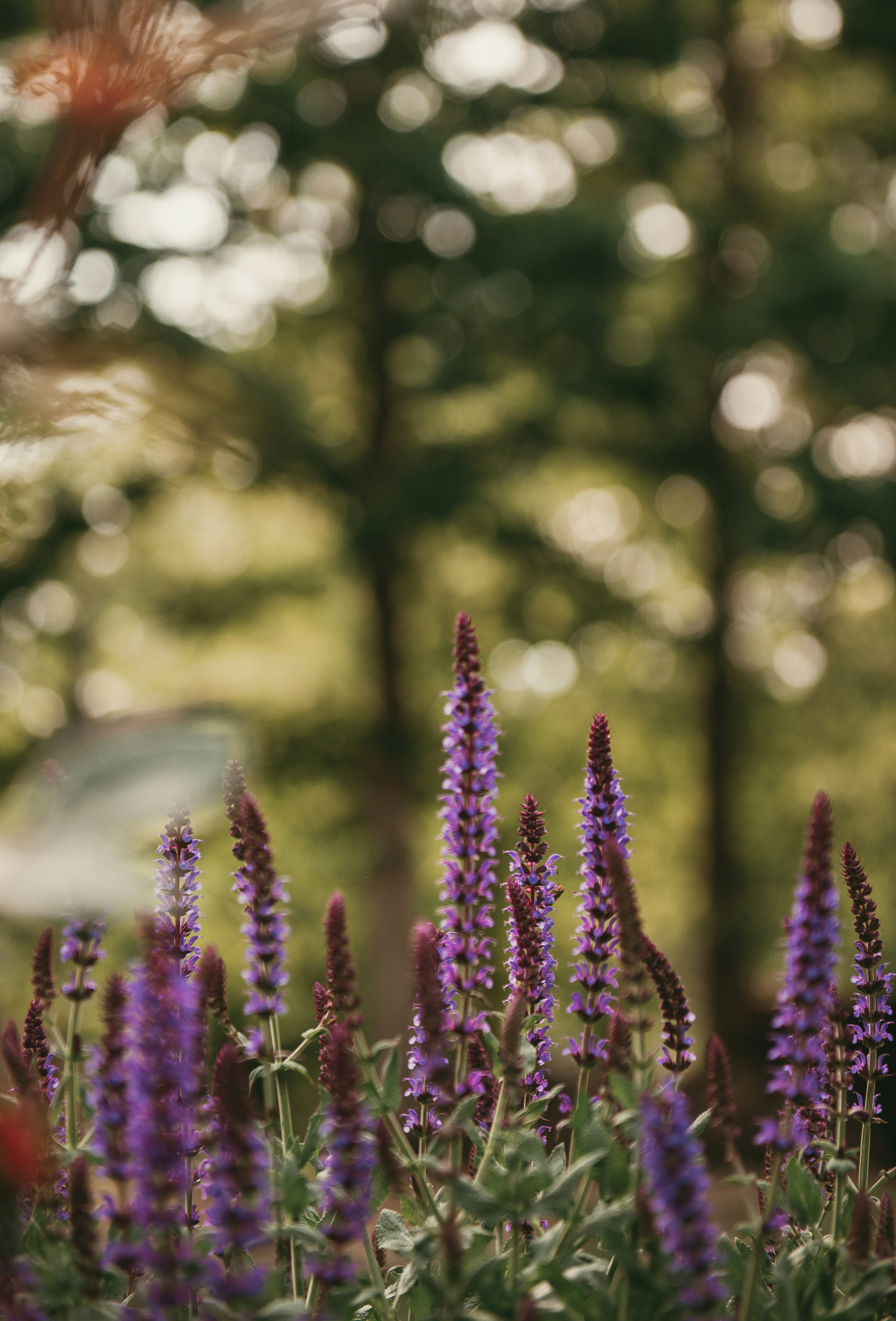 Photo by sadiecoulter