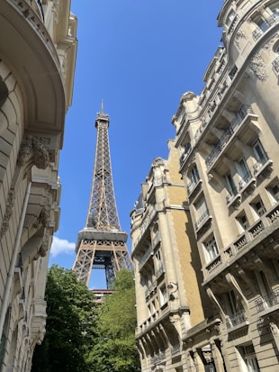 A narrow street flanked by elegant, ornate buildings leads to a clear view of the iconic Eiffel Tower under a bright blue sky. The buildings feature intricate architectural details and balconies. Lush green trees contrast with the light stone of the surrounding structures.
