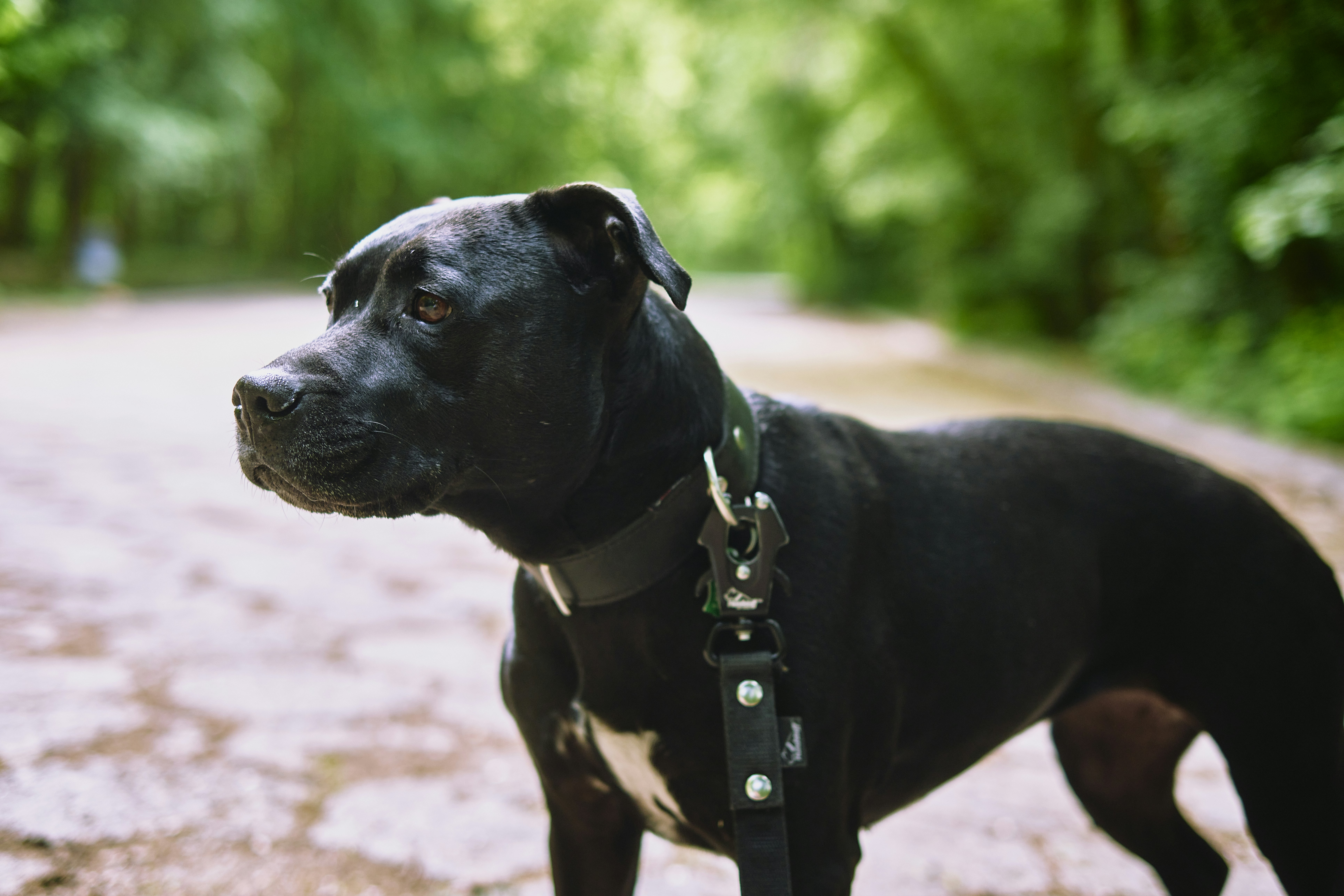 Photo by victor_vector