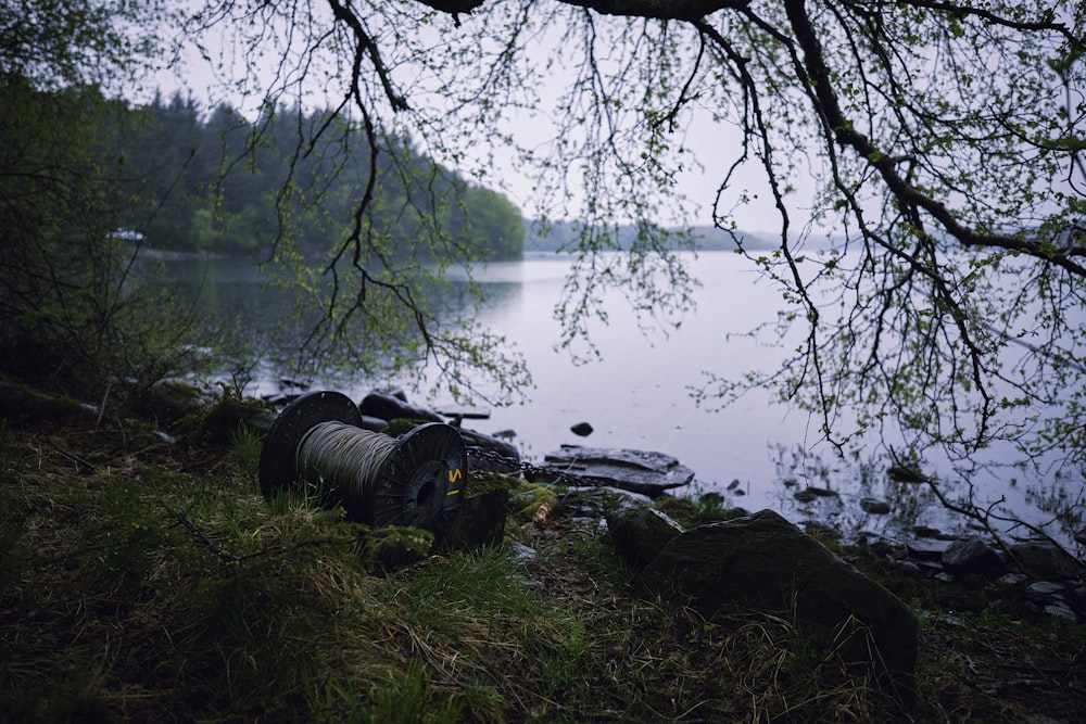 a pipe laying on the ground next to a body of water