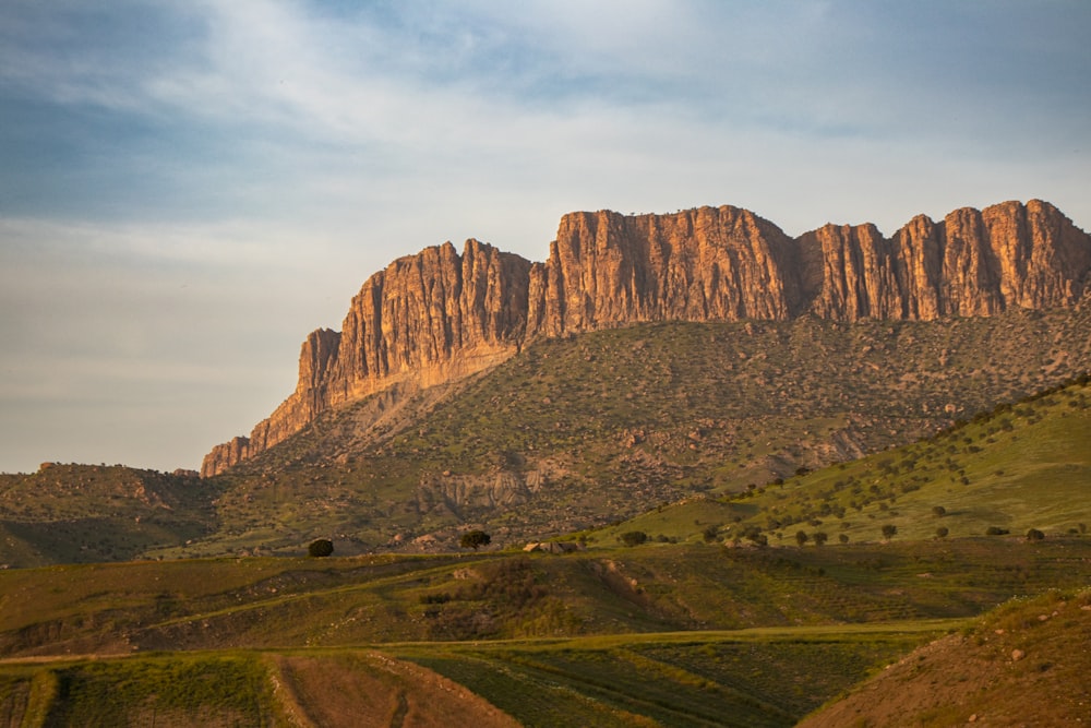 a mountain range with a few trees in the foreground