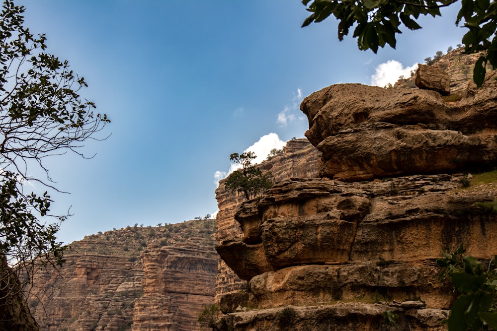 Una vista de un acantilado rocoso con un árbol en primer plano
