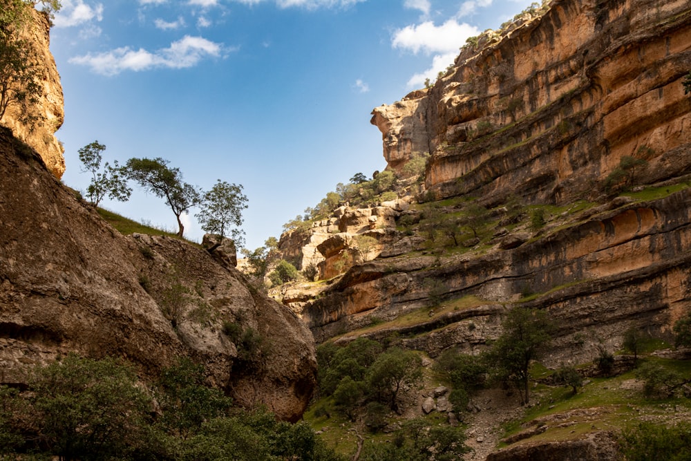 a river flowing through a lush green canyon