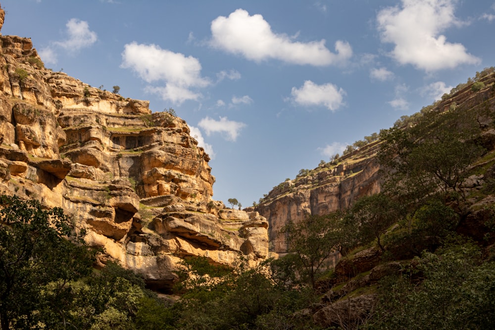 a view of a rocky mountain side with trees and bushes