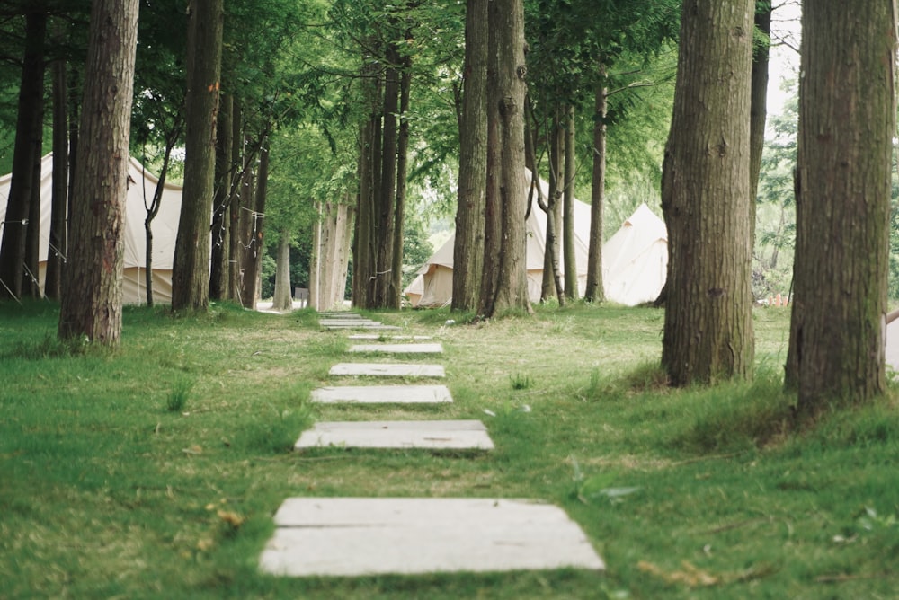 a path in the middle of a forest with tents in the background