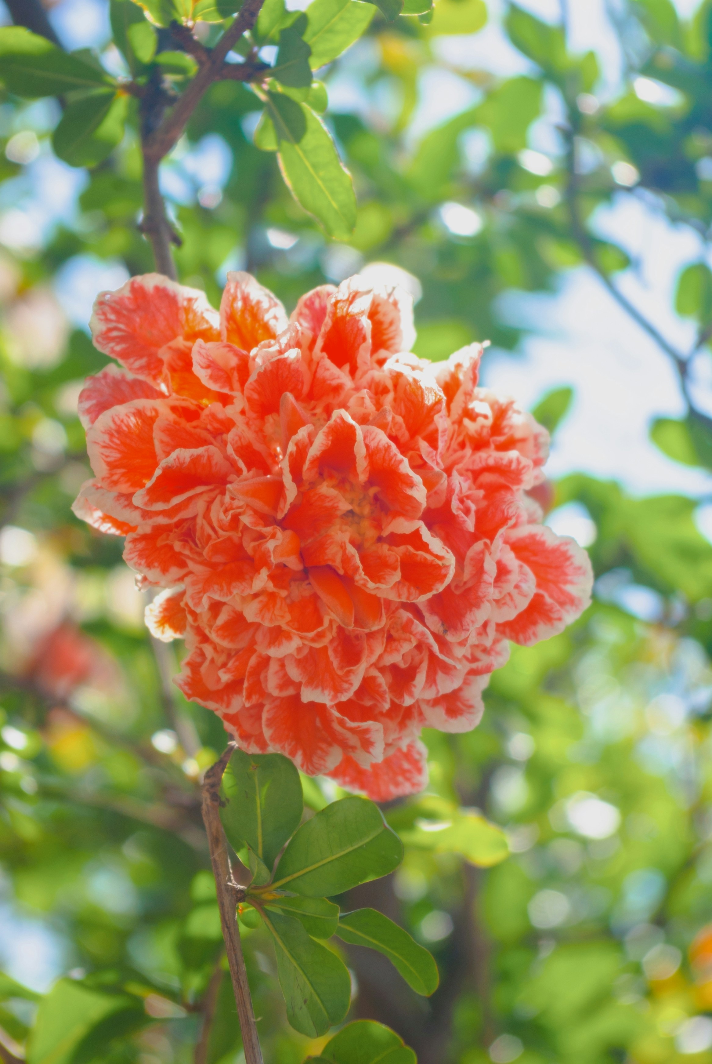 Photo by moonmoons_days