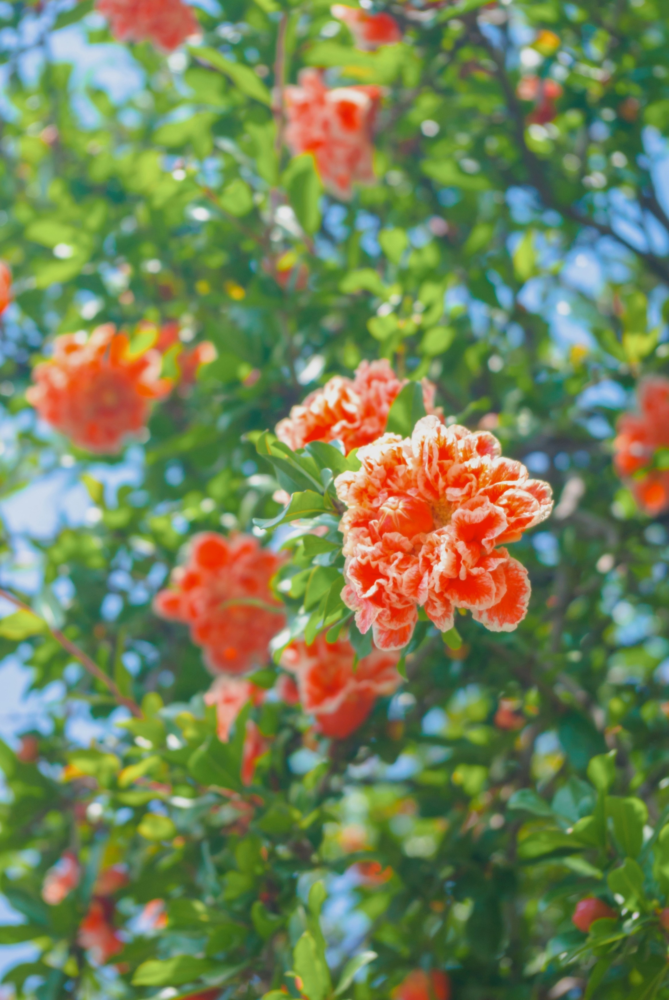 Photo by moonmoons_days