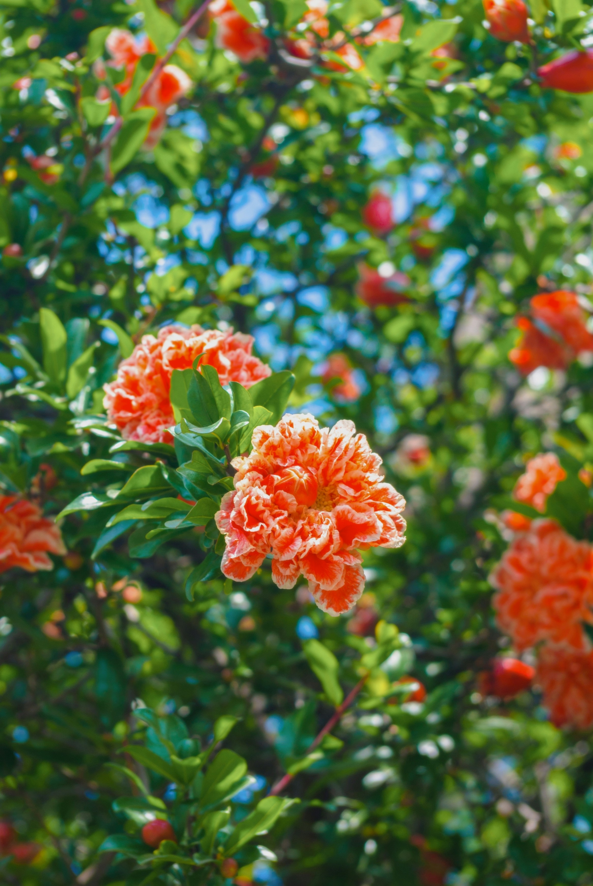 Photo by moonmoons_days