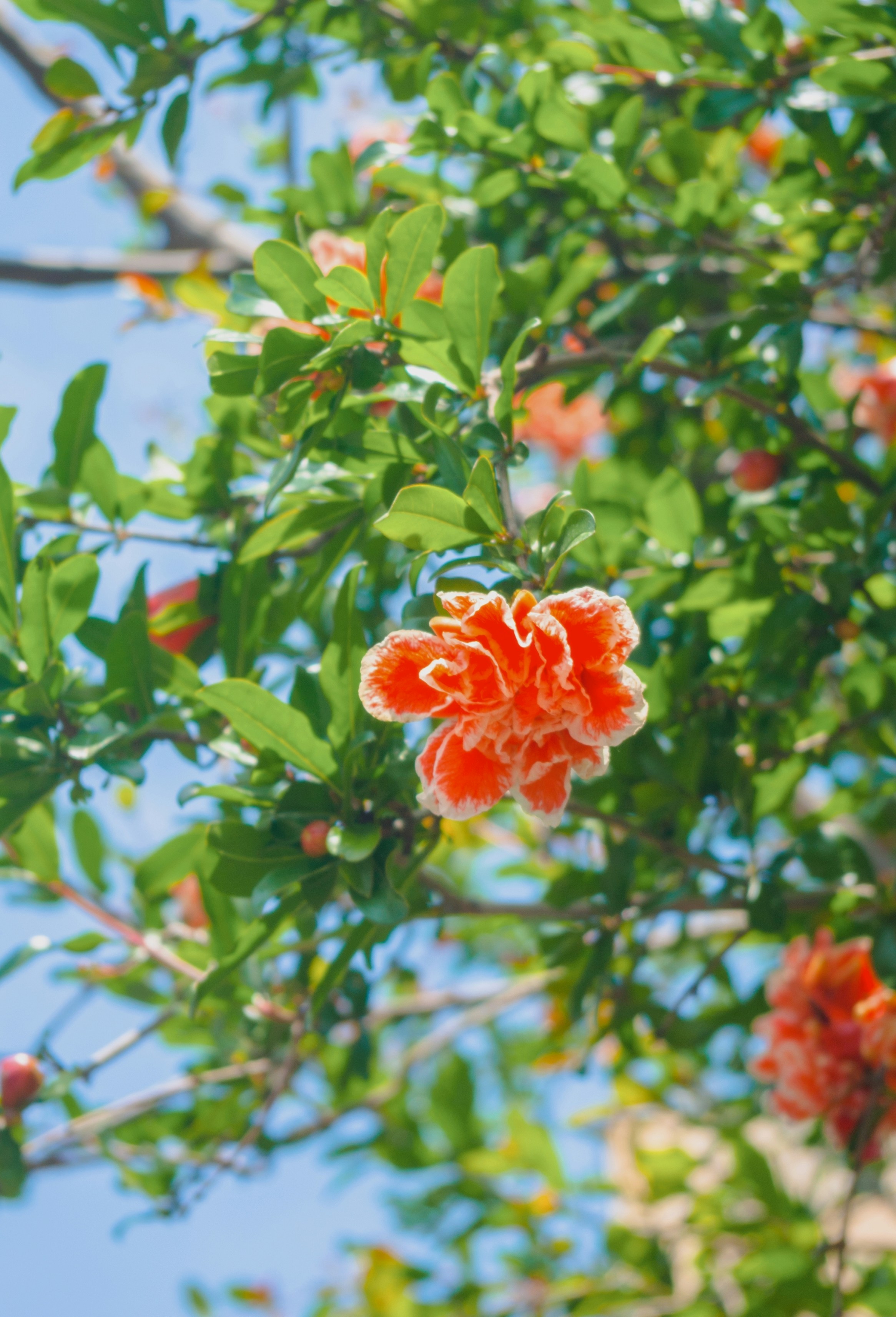 Photo by moonmoons_days