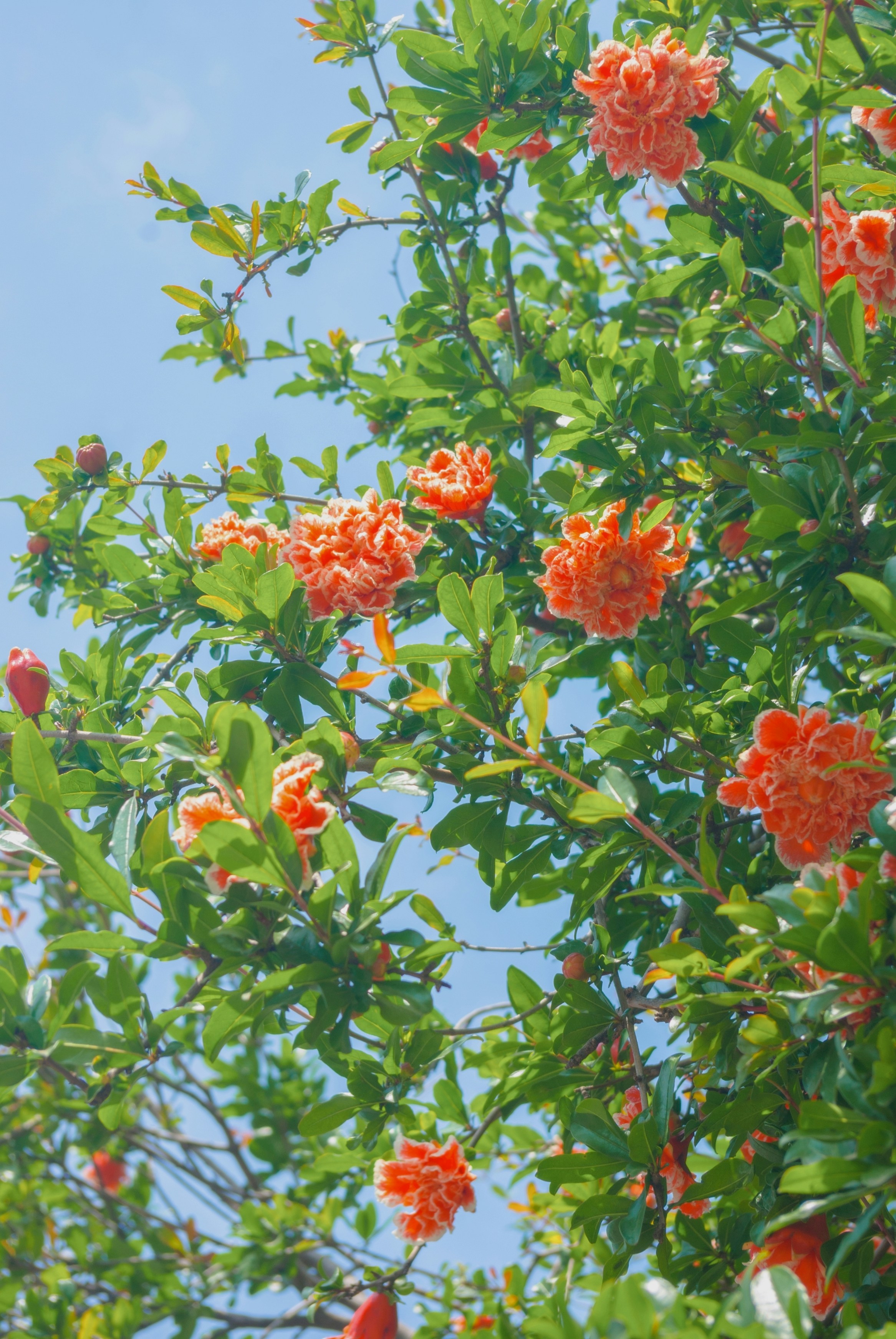 Photo by moonmoons_days