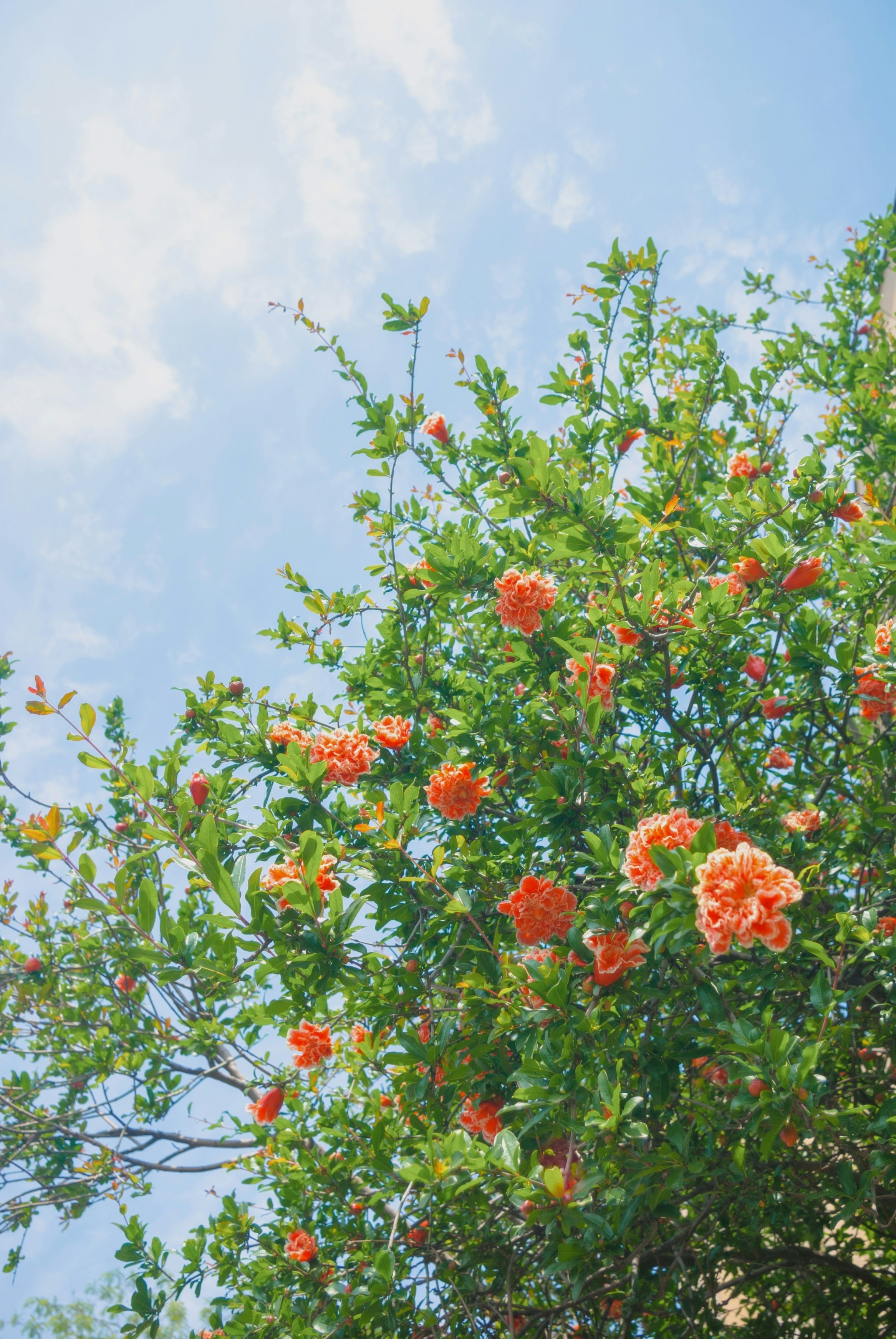 Photo by moonmoons_days