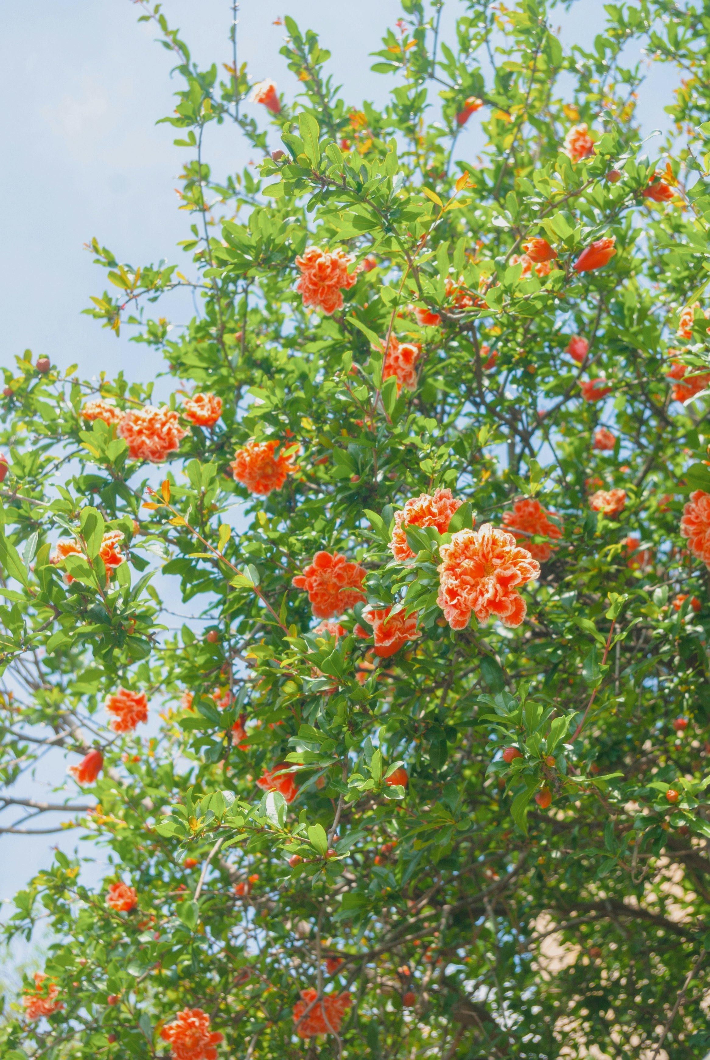 Photo by moonmoons_days