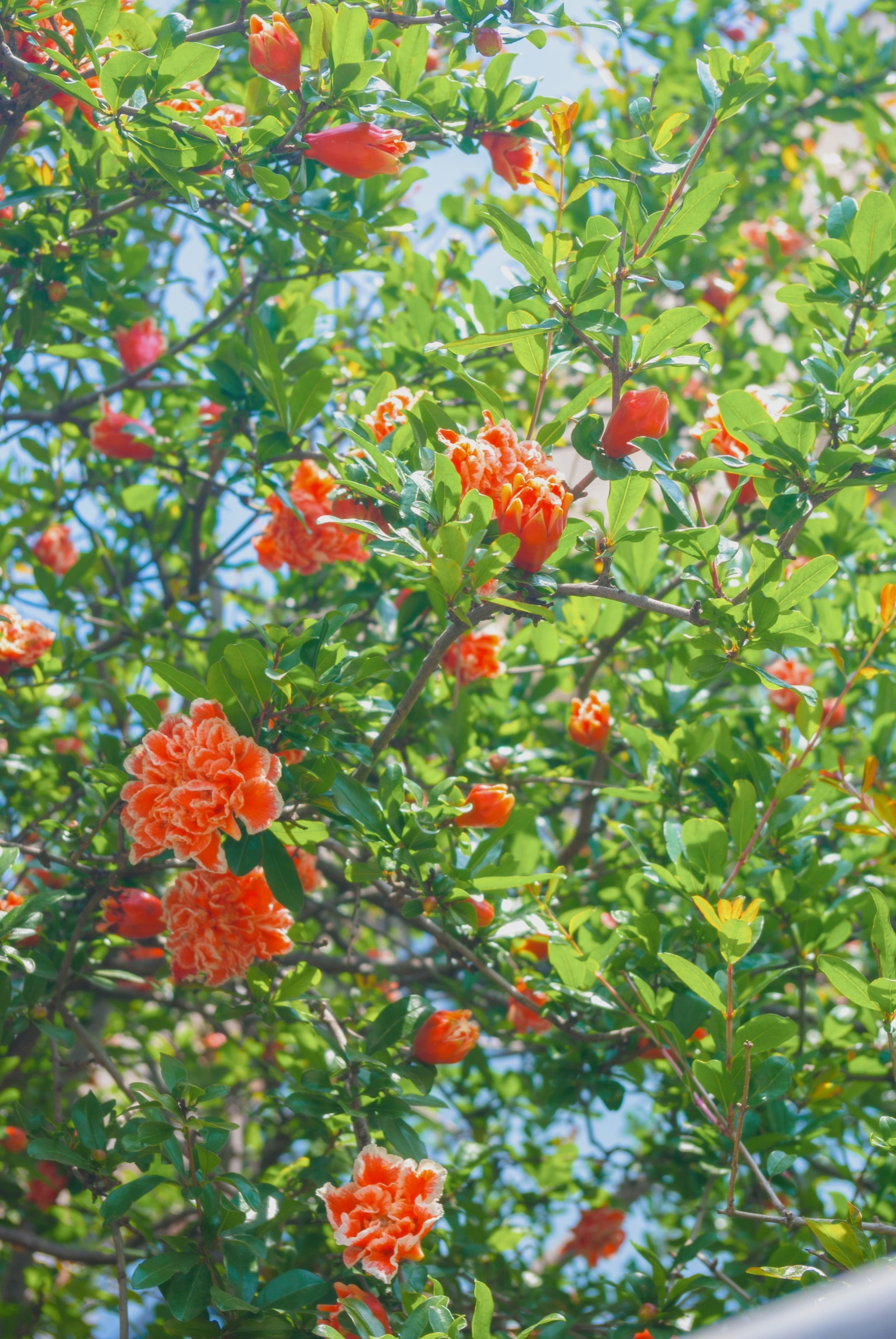 Photo by moonmoons_days