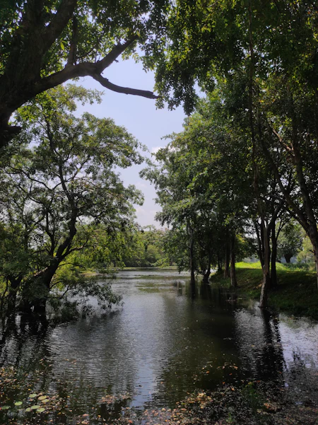 Sri Lanka en 14 jours : plantations de thé et plages du sud