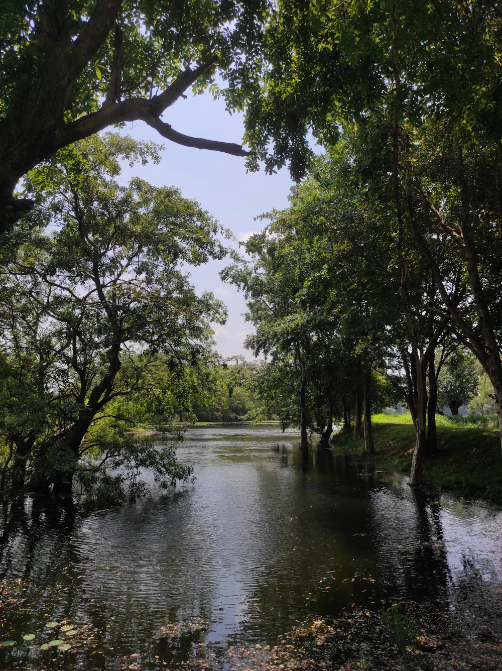 Sri Lanka en 14 jours : plantations de thé et plages du sud