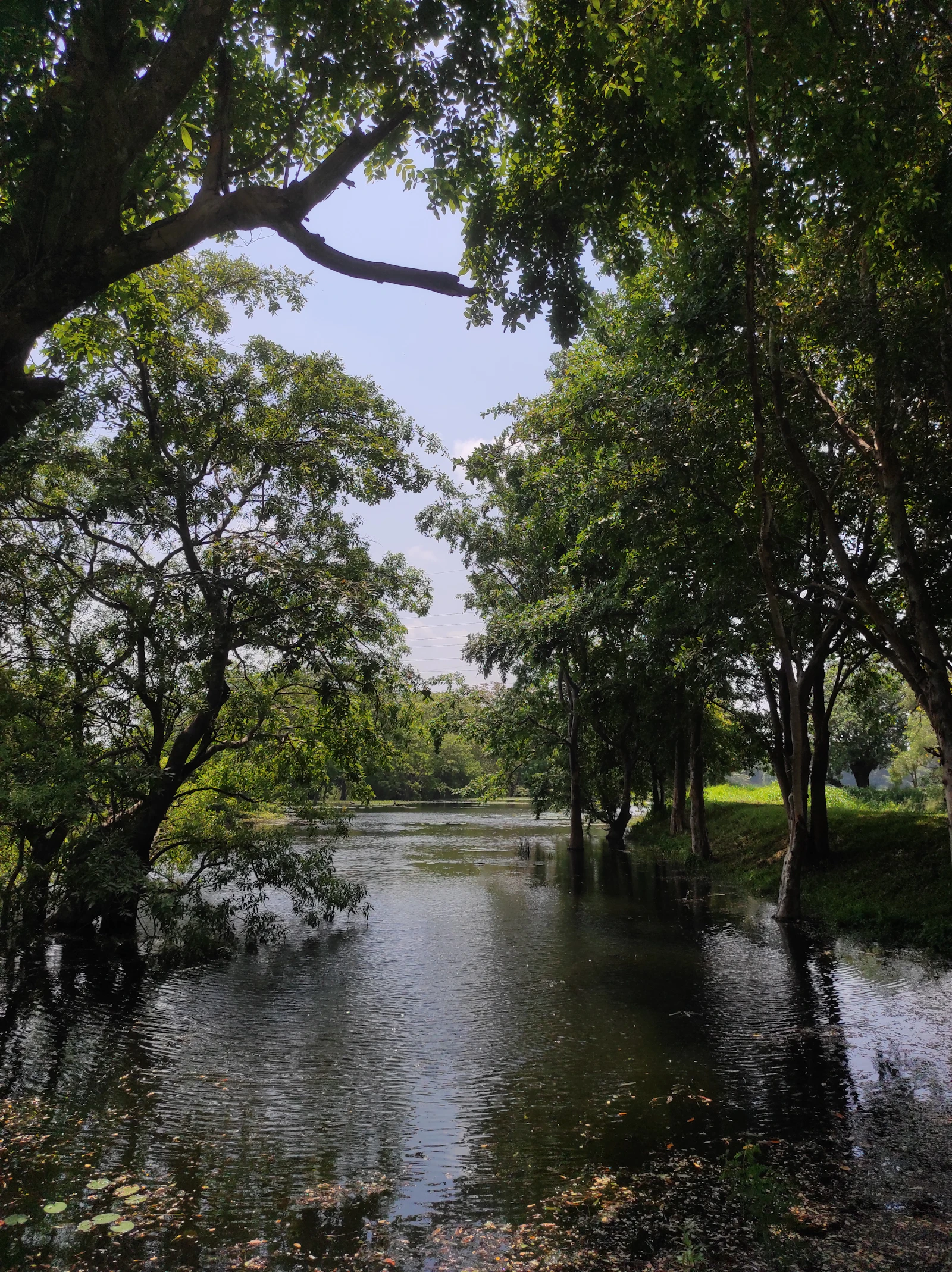 Sri Lanka
