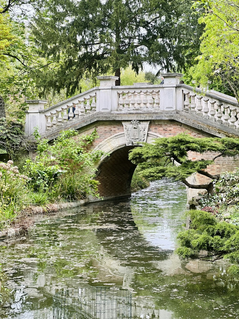 Un puente sobre un pequeño río en un parque