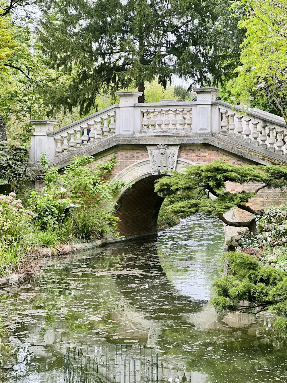 a bridge over a small river in a park