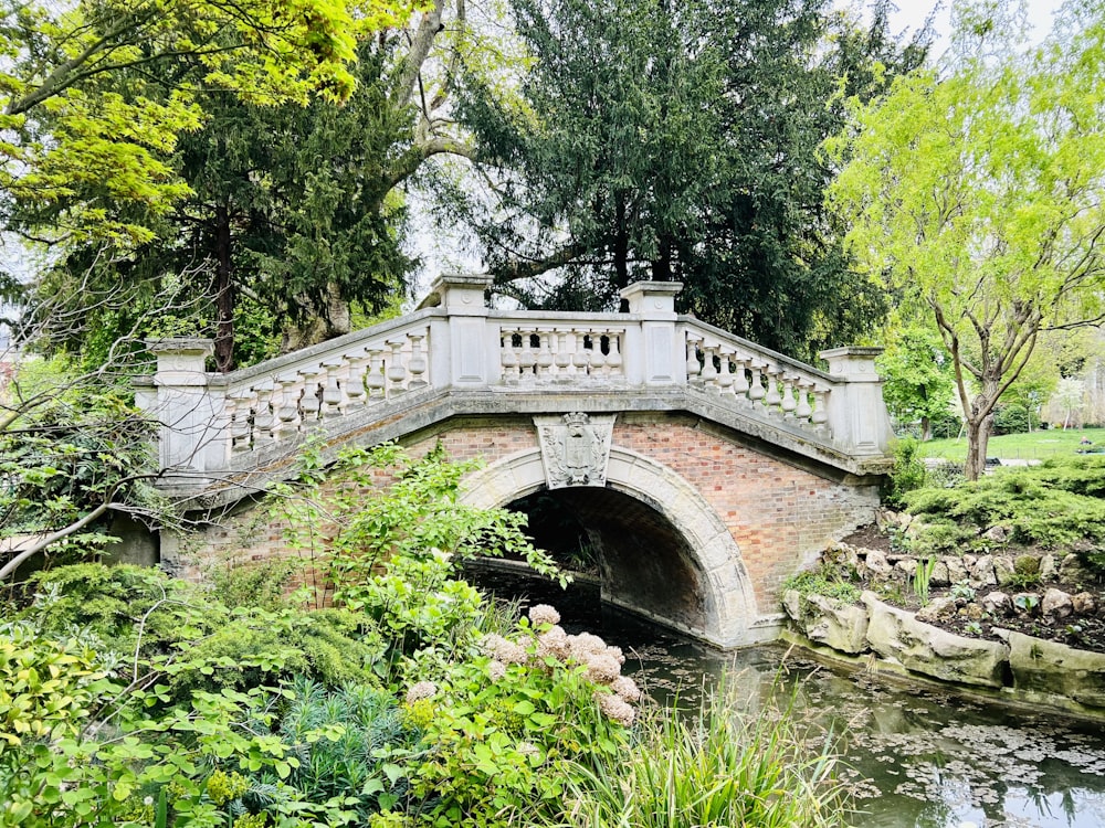 uma ponte sobre um pequeno riacho em um parque