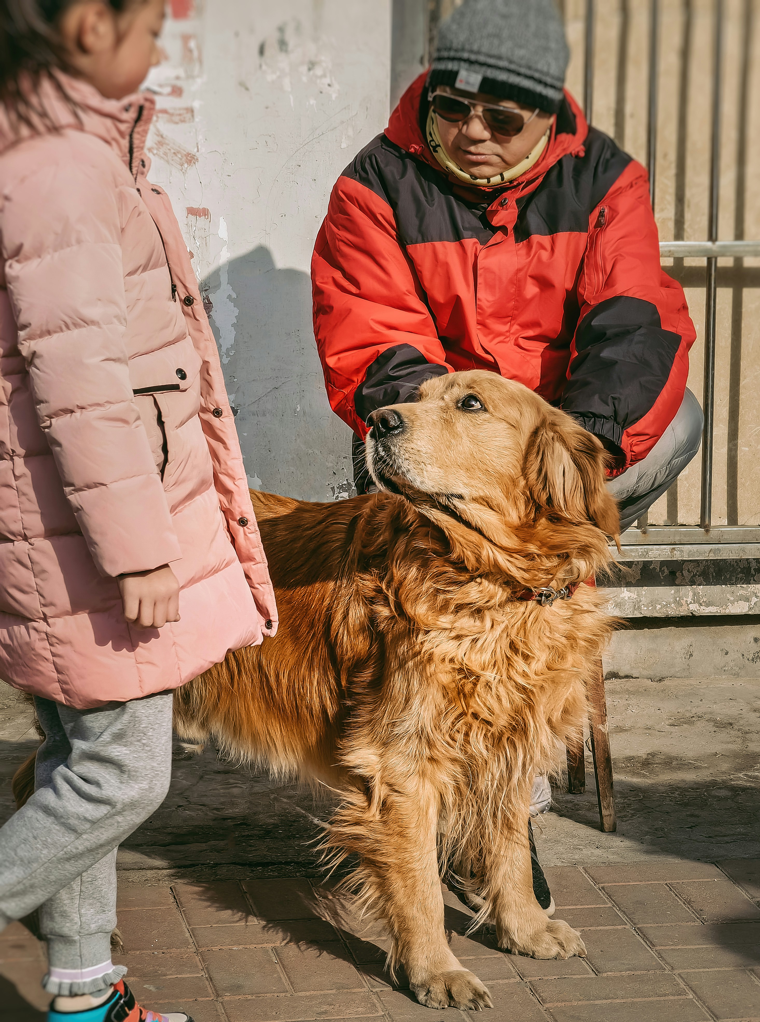 구성환 반려견 꽃분이 나이 및 품종 정보 이미지1