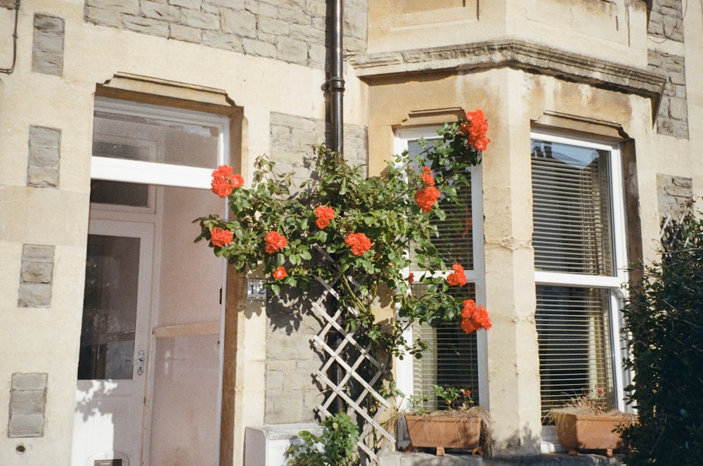 a building with a rose bush on the outside of it