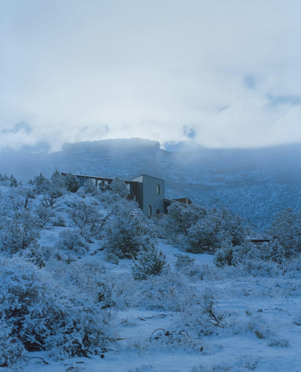 a house on a snowy hill surrounded by trees