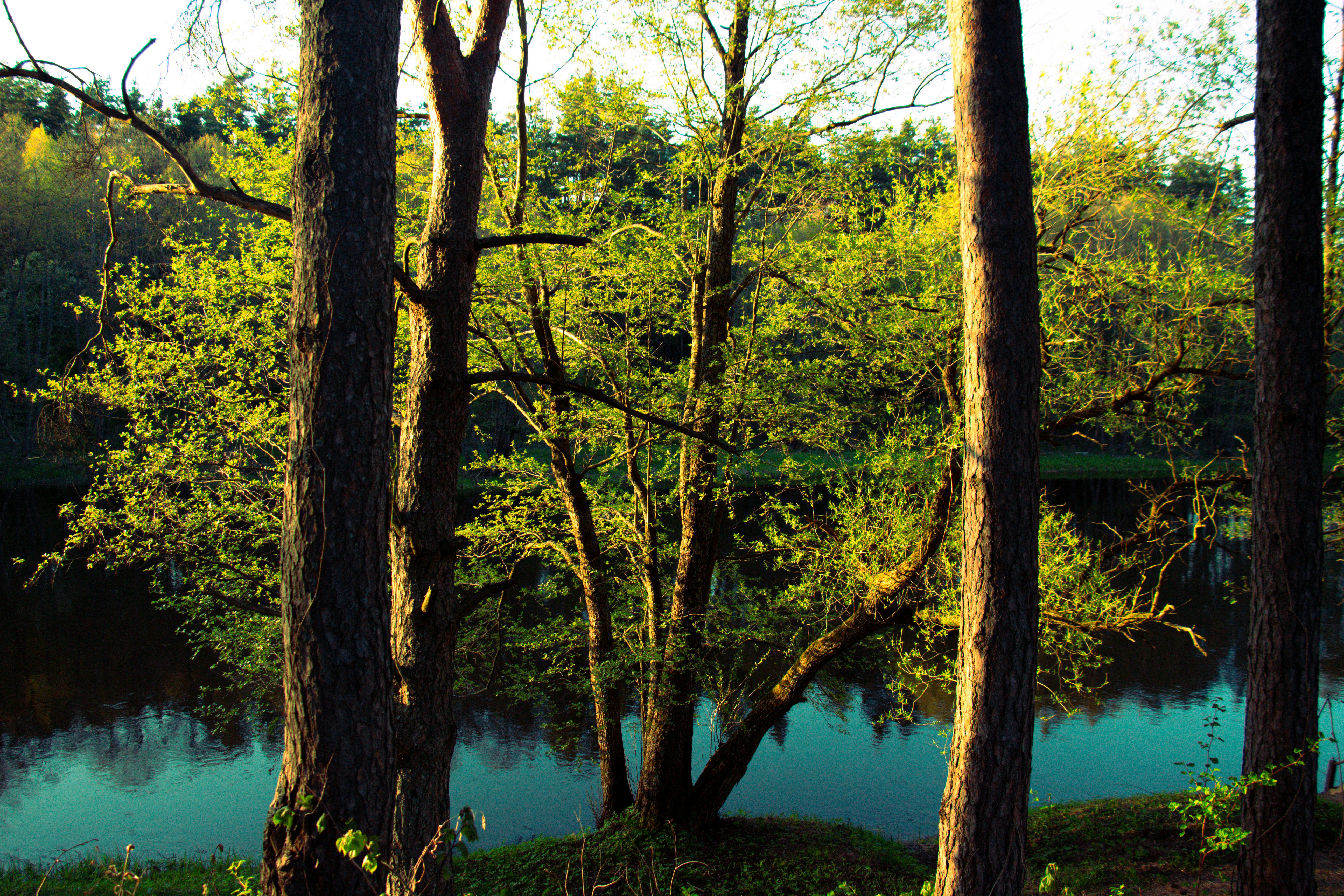 Photo by valeria_klys