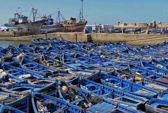 a lot of boats that are sitting in the water