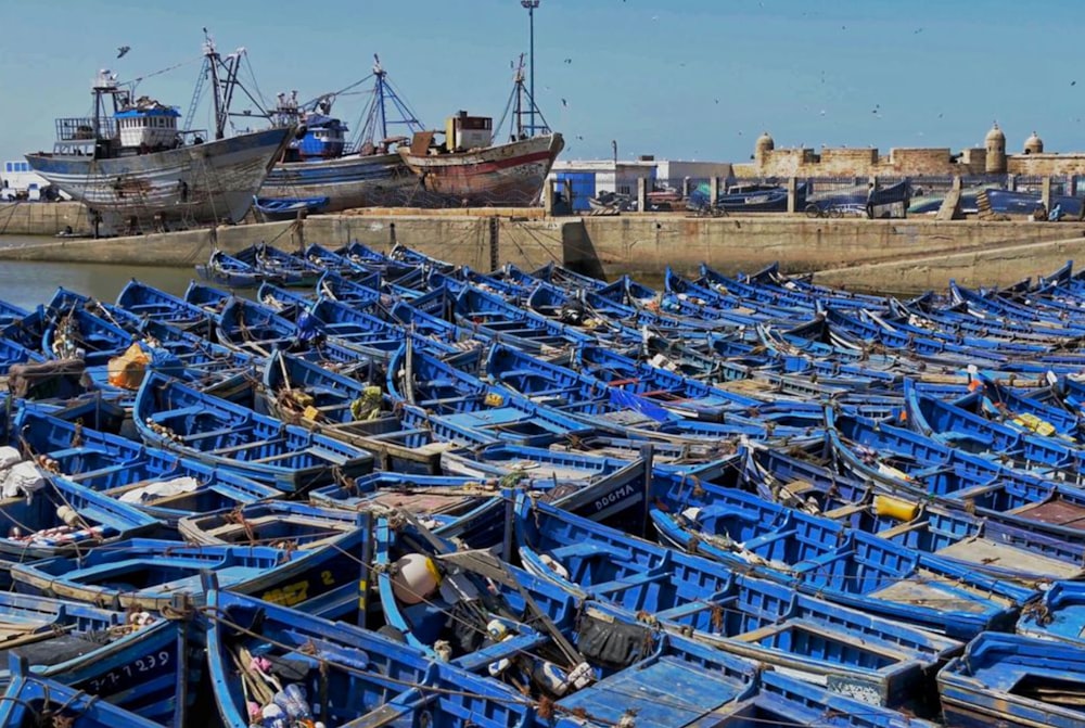 a lot of boats that are sitting in the water