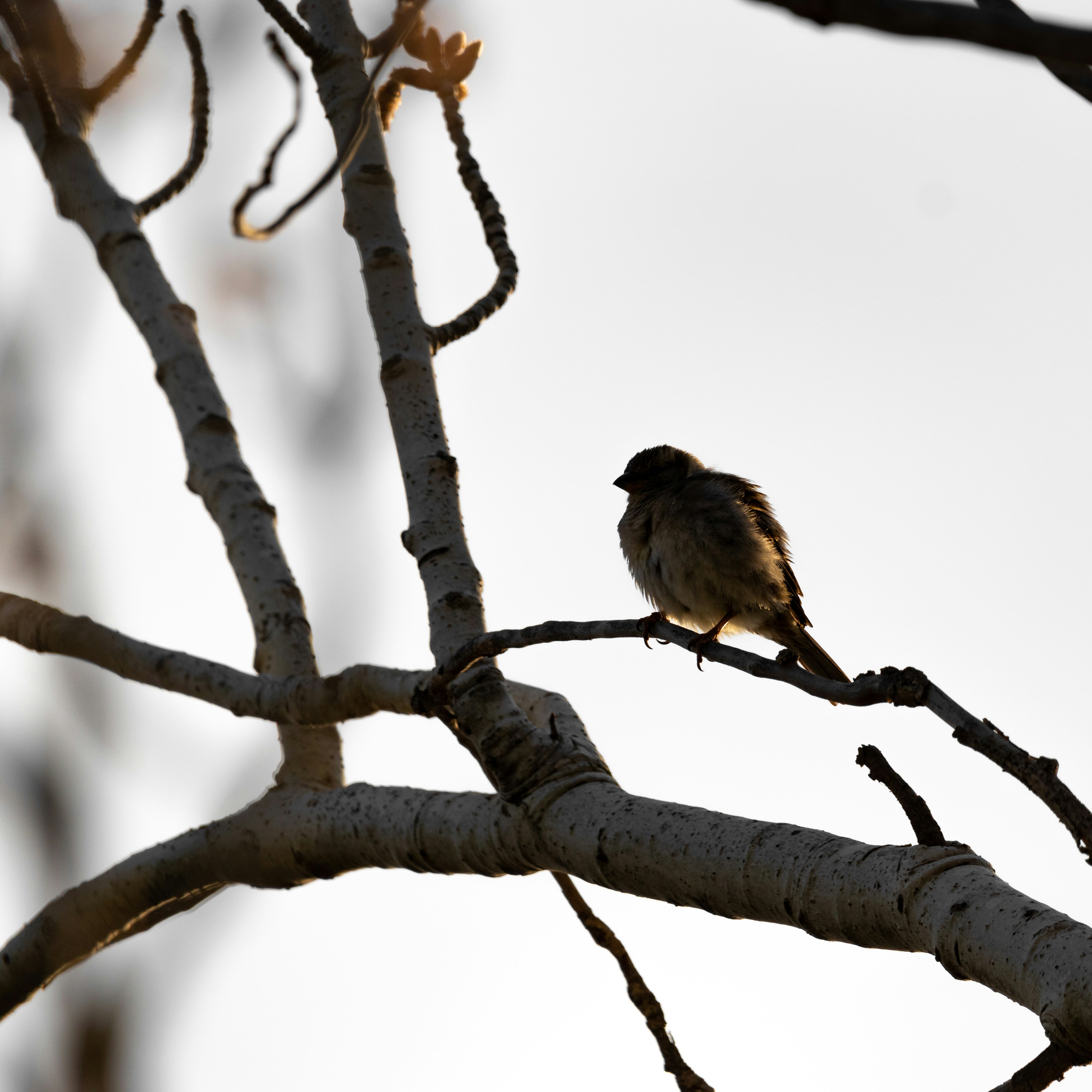 Photo by matthieur68