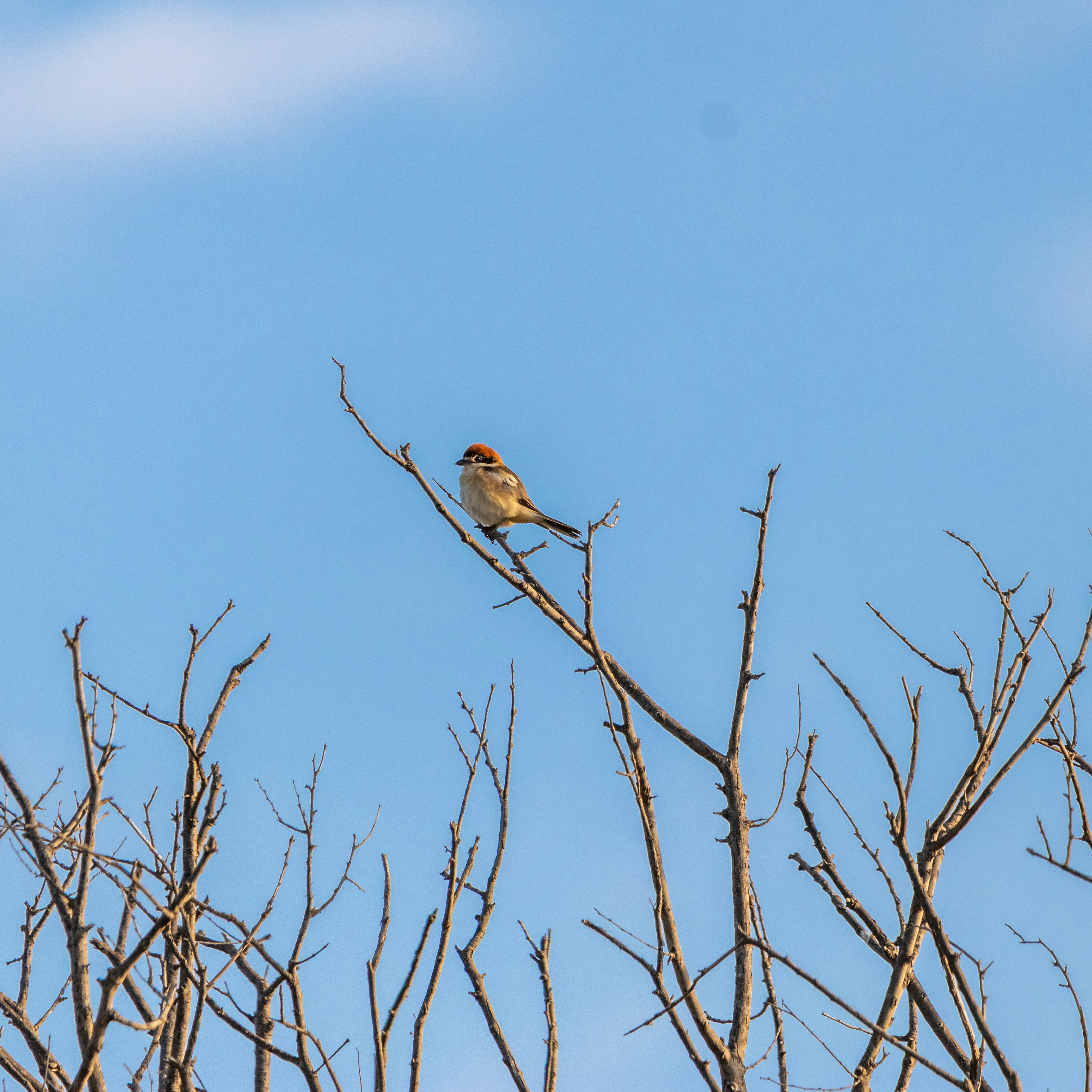 Photo by matthieur68