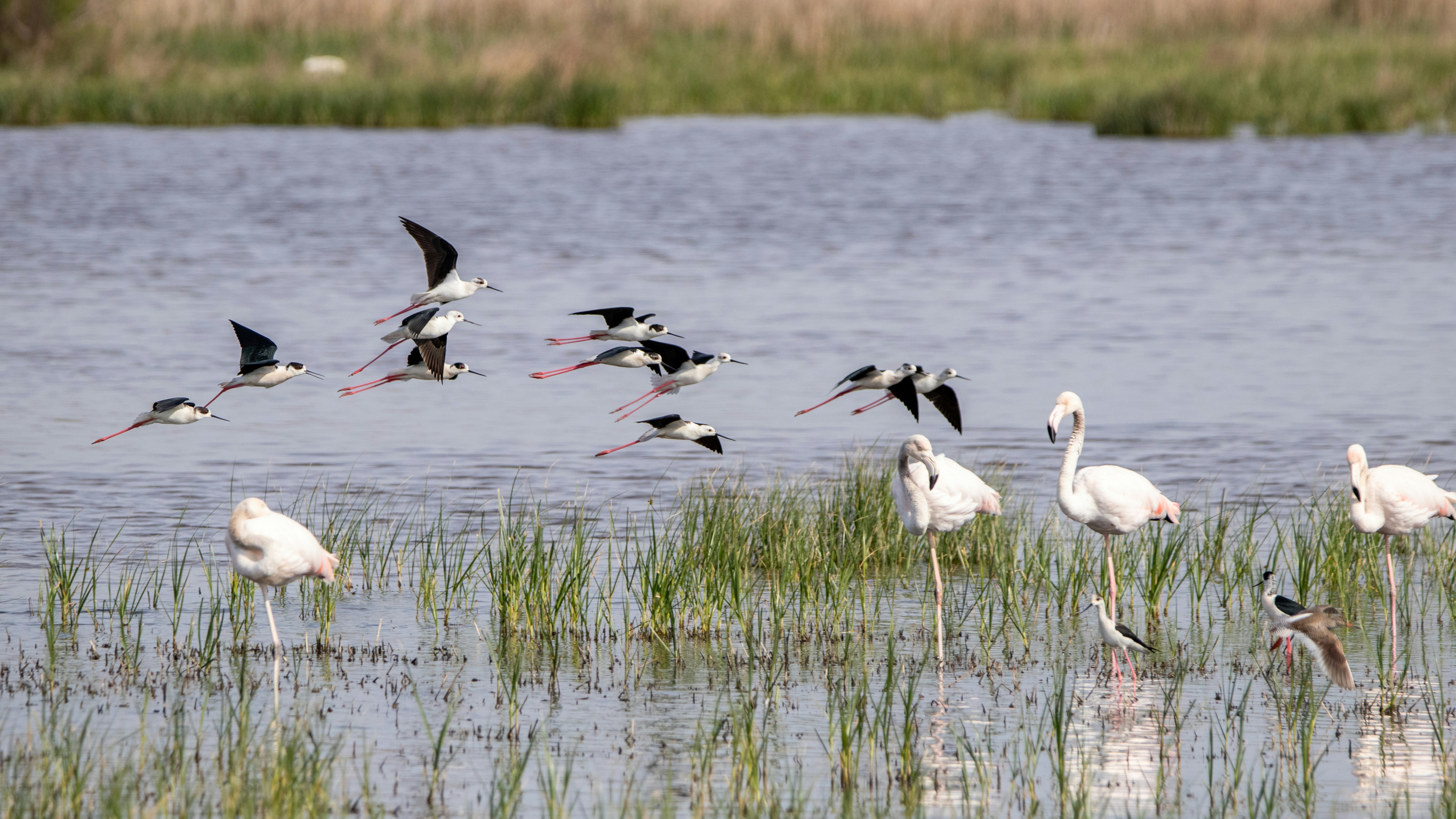 Photo by matthieur68