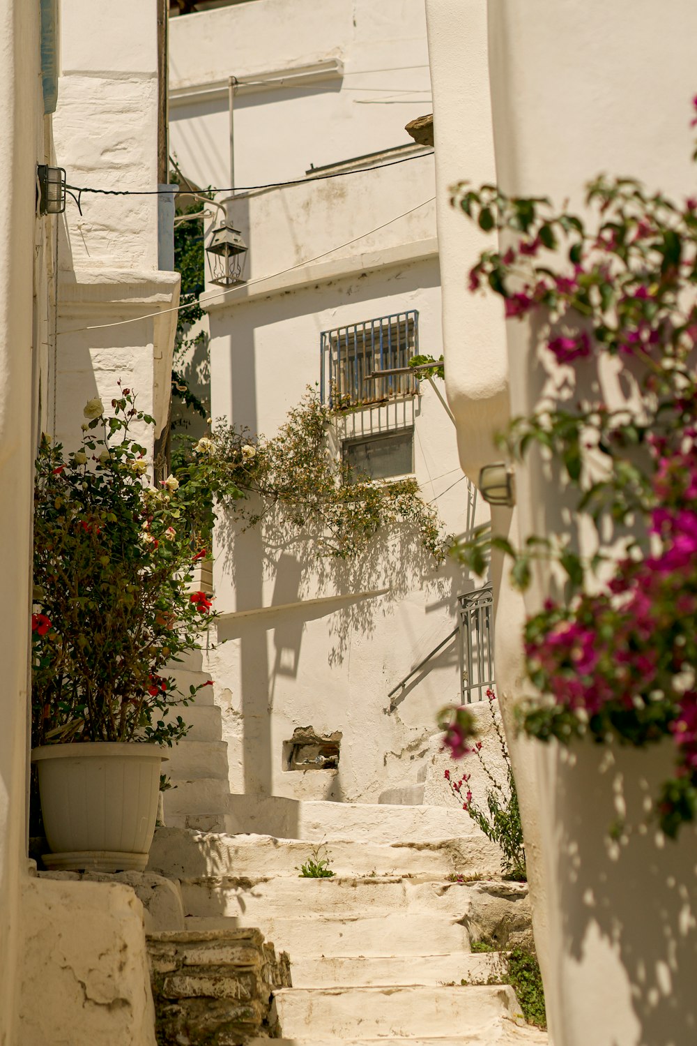 a white building with a bunch of flowers growing on it